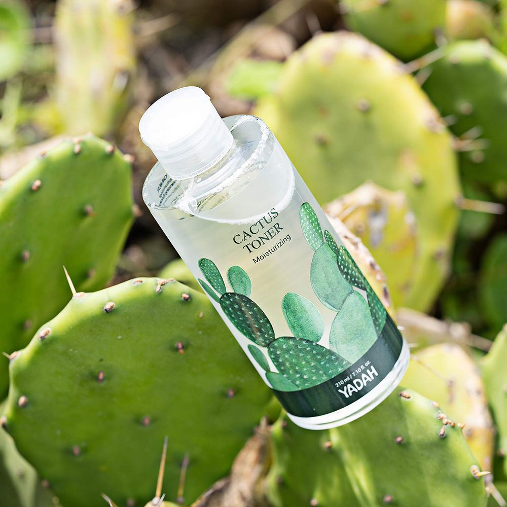 Transparente Flasche mit grünem Etikett, liegt auf Kaktusblättern. Aufschrift: Cactus Toner, YADAH. Deckel aus transparentem Kunststoff.