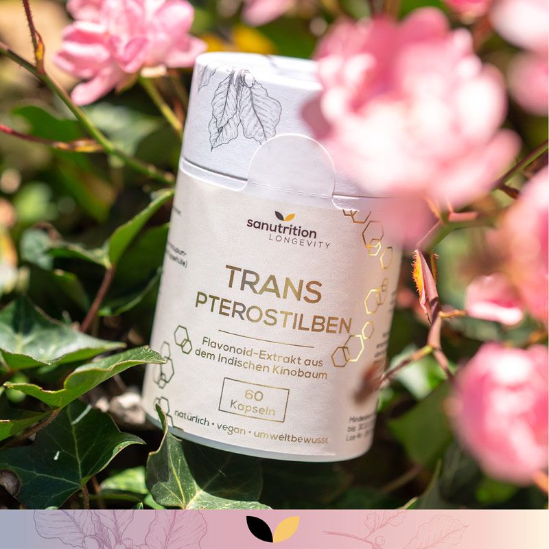 Zylinderförmige Dose mit goldfarbenem Etikett. Aufschrift: TRANS PTEROSTILBEN, 60 Kapseln. Umgeben von grünen Blättern und rosa Blüten.
