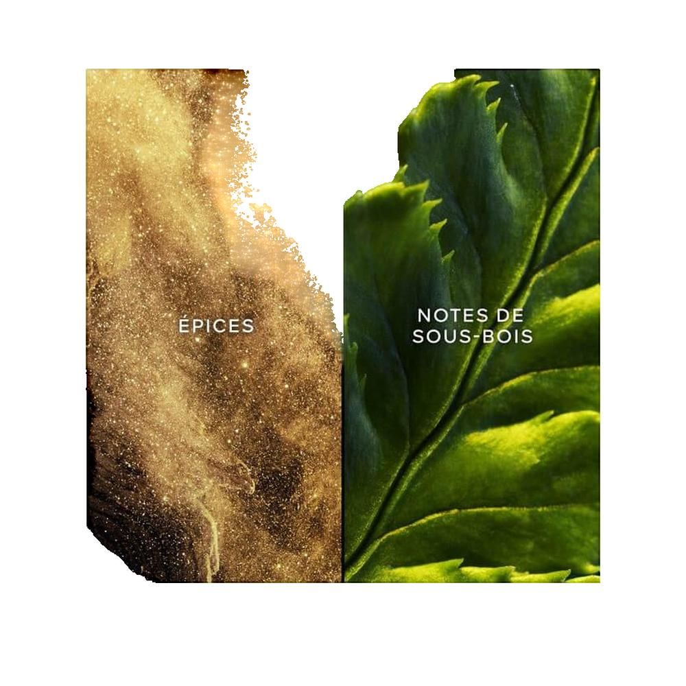 Zwei Hälften: goldfarbene Partikel und grünes Blatt. Text: ÉPICES und NOTES DE SOUS-BOIS.