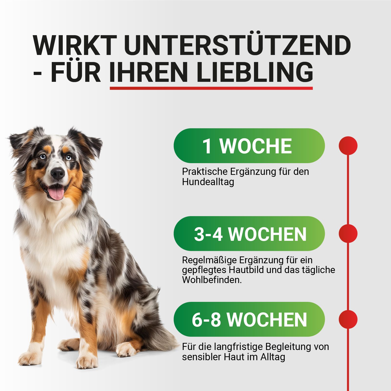 Hundefutter: Unterstützt die Hautpflege und das Wohlbefinden des Hundes. 1 Woche, 3-4 Wochen, 6-8 Wochen.