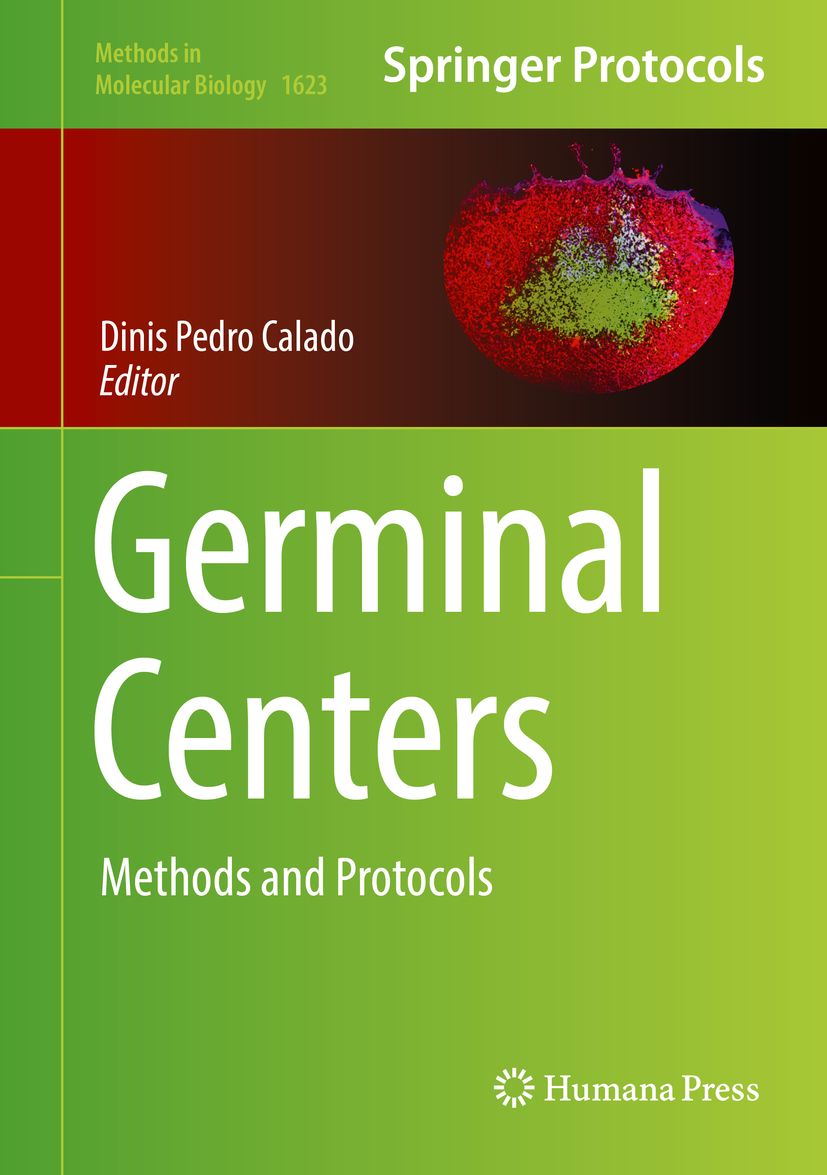 Germinal Centers