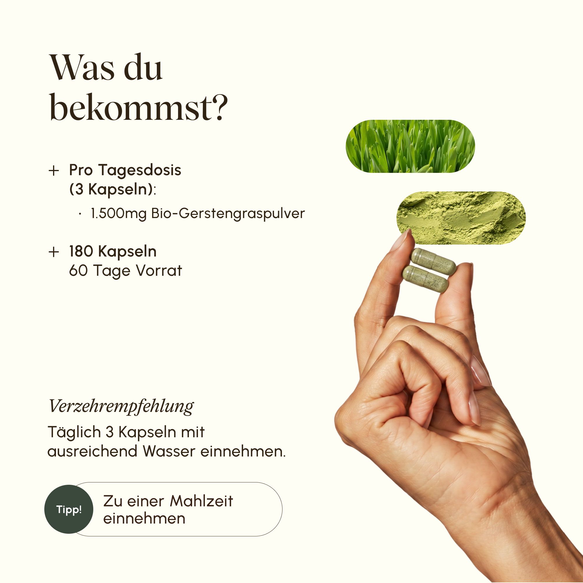 Zwei grüne Kapseln werden von einer Hand gehalten. Daneben sind Bilder von Gerstengras und Pulver.