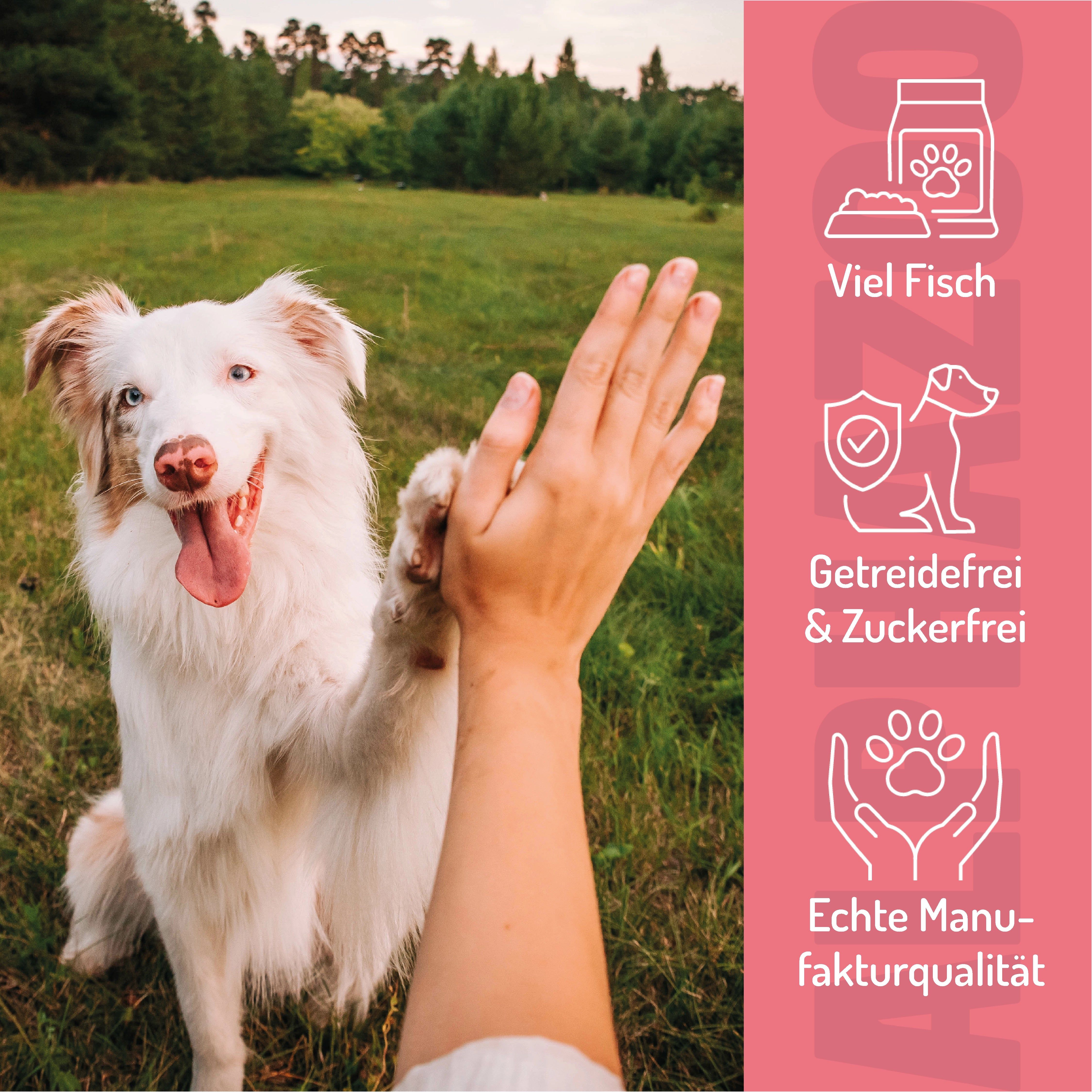 Hund gibt High Five. Rosa Hintergrund mit Icons: Viel Fisch, Getreidefrei & Zuckerfrei, Manufakturqualität.