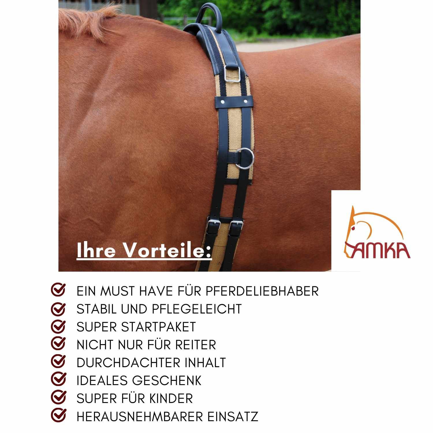 Longiergurt mit Text: Ein Must Have für Pferdeliebhaber, stabil und pflegeleicht, Super Startpaket.