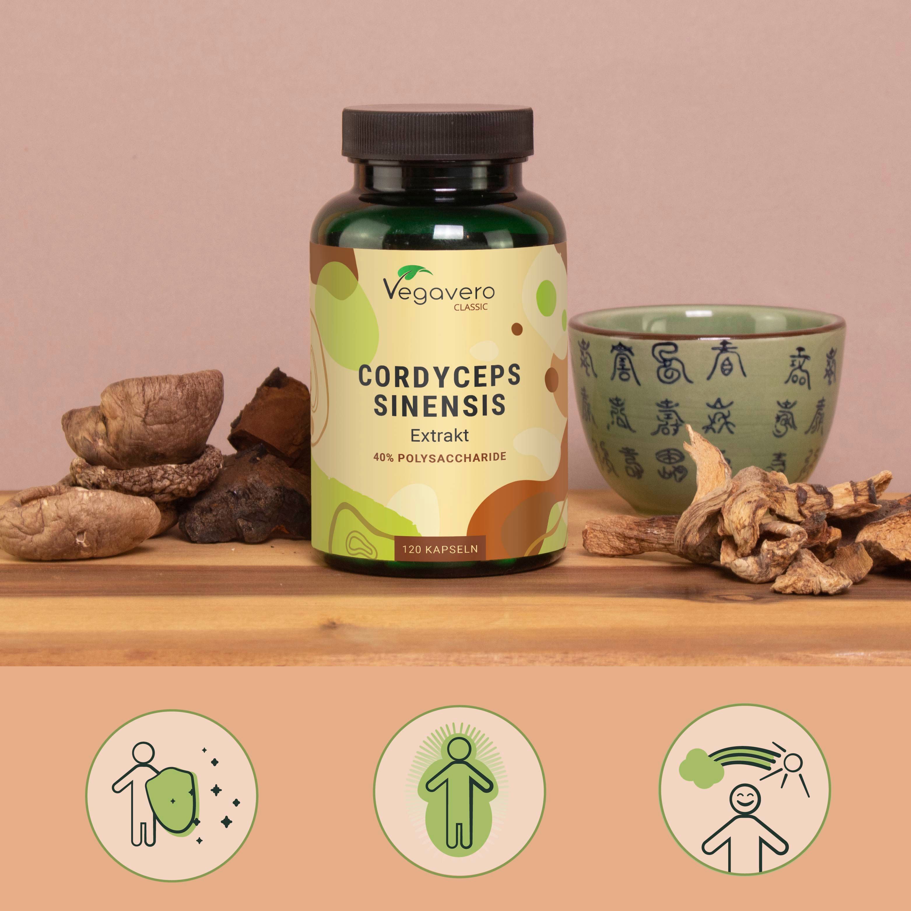 Flasche Cordyceps Sinensis Extrakt, 40% Polysaccharide, 120 Kapseln. Vegavaro Classic. Holzbrett, Pilze und Schale.