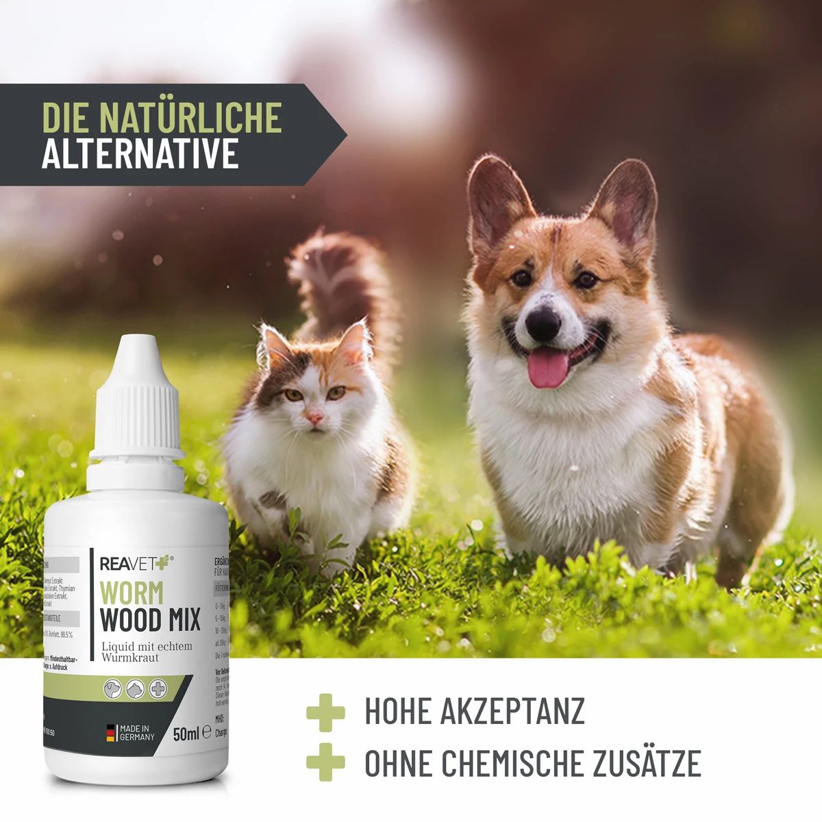 Flasche Worm Wood Mix neben Katze und Hund auf Wiese. Vorteile: hohe Akzeptanz, ohne chemische Zusätze.