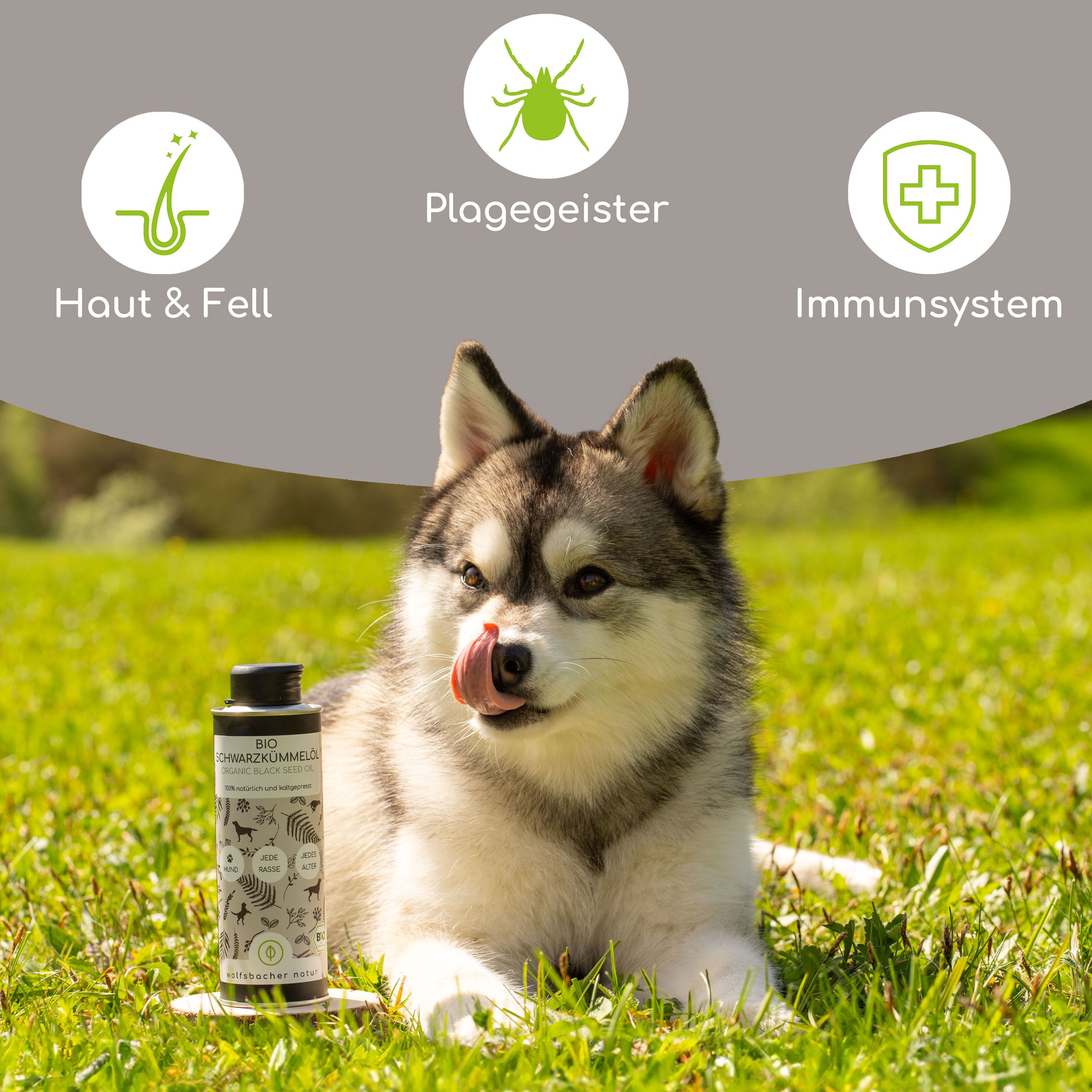 Hund auf Gras mit Produktflasche. Aufschrift: Haut & Fell, Plagegeister, Immunsystem. Flasche mit Etikett.