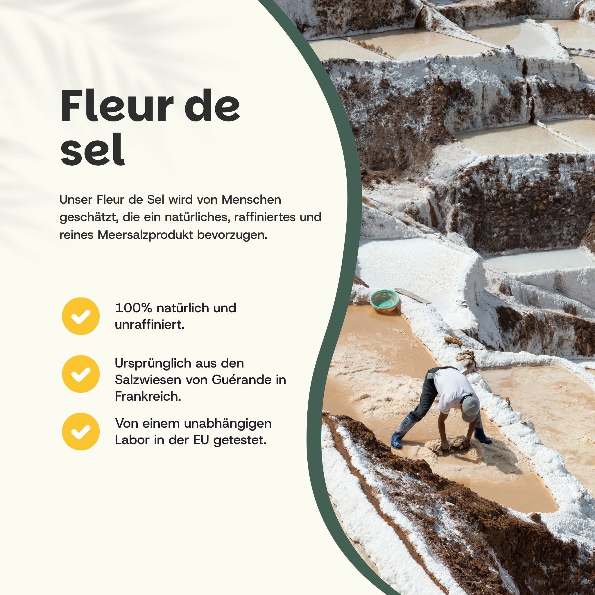 Fleur de Sel. Text: 100% natürlich und unraffiniert. Ursprünglich aus Guérande, Frankreich. EU-Labor getestet.