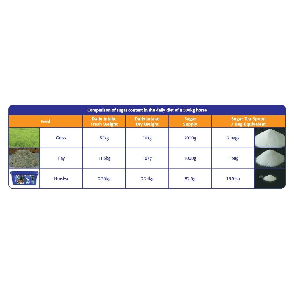 Tabelle: Vergleich des Zuckergehalts in der täglichen Ernährung eines 500 kg schweren Pferdes. Enthält Gras, Heu und Horslyx.