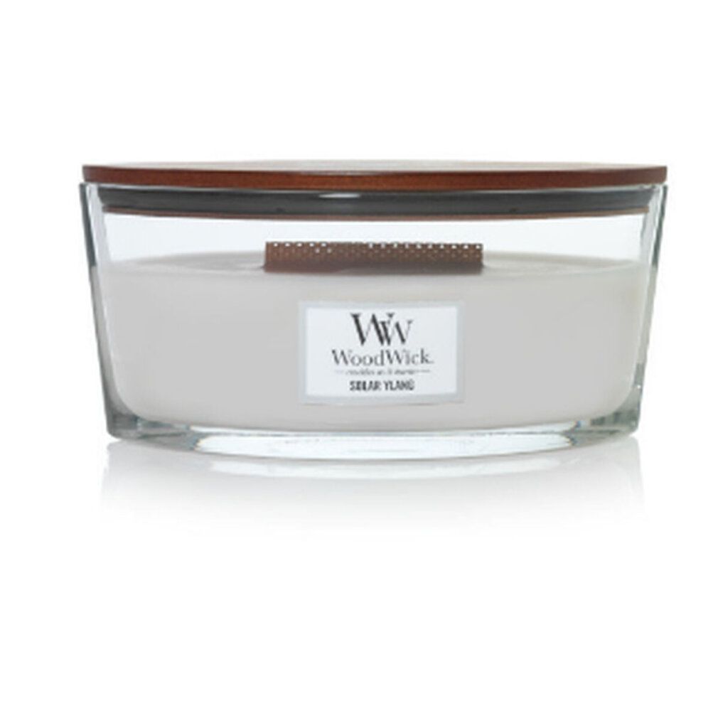 Kerze in Glasbehälter mit Holzdeckel. Aufkleber "WoodWick Solar Ylang".