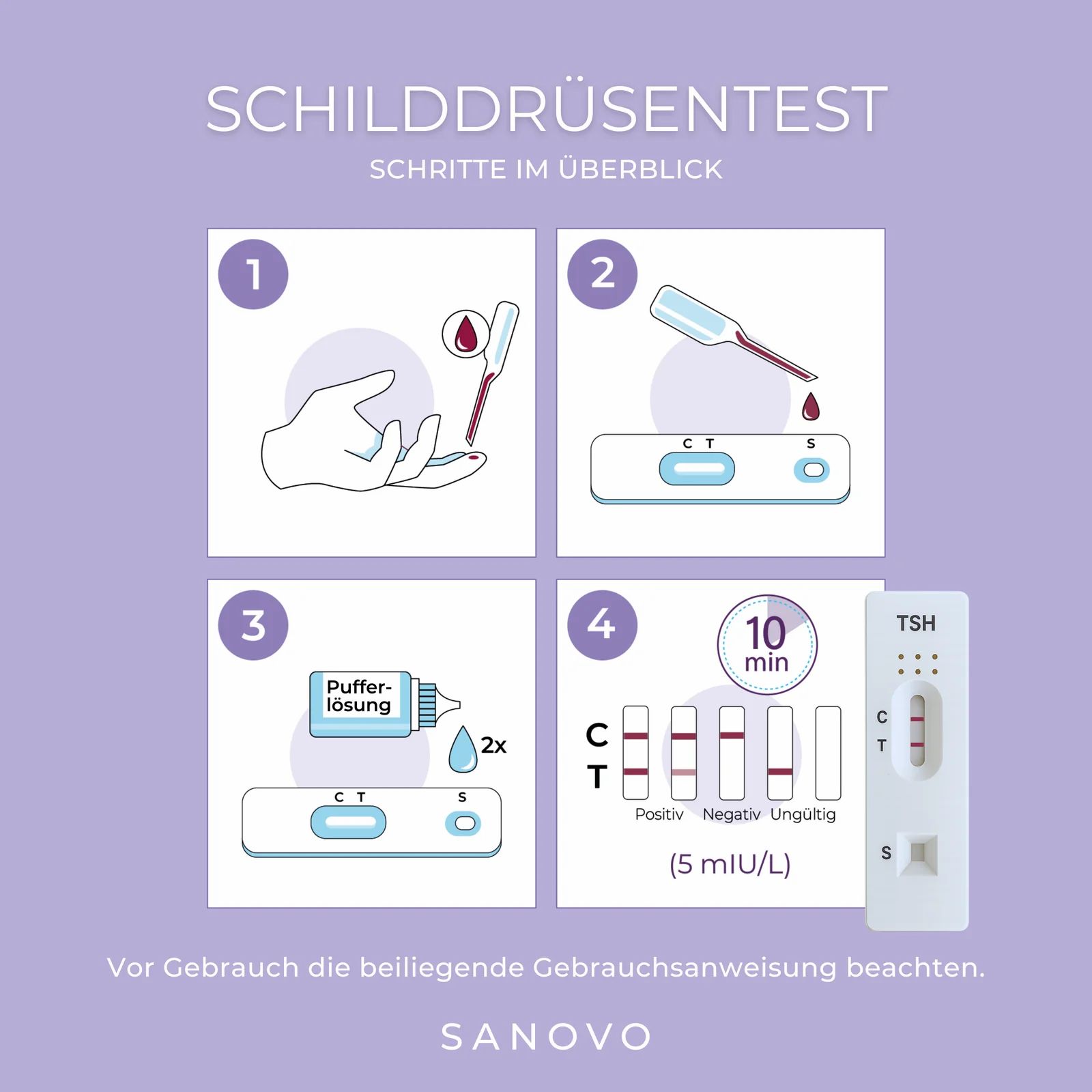 Übersicht der Schritte für den Schilddrüsen-Selbsttest: Blutentnahme, Probenvorbereitung, Testdurchführung, Ergebnis ablesen.