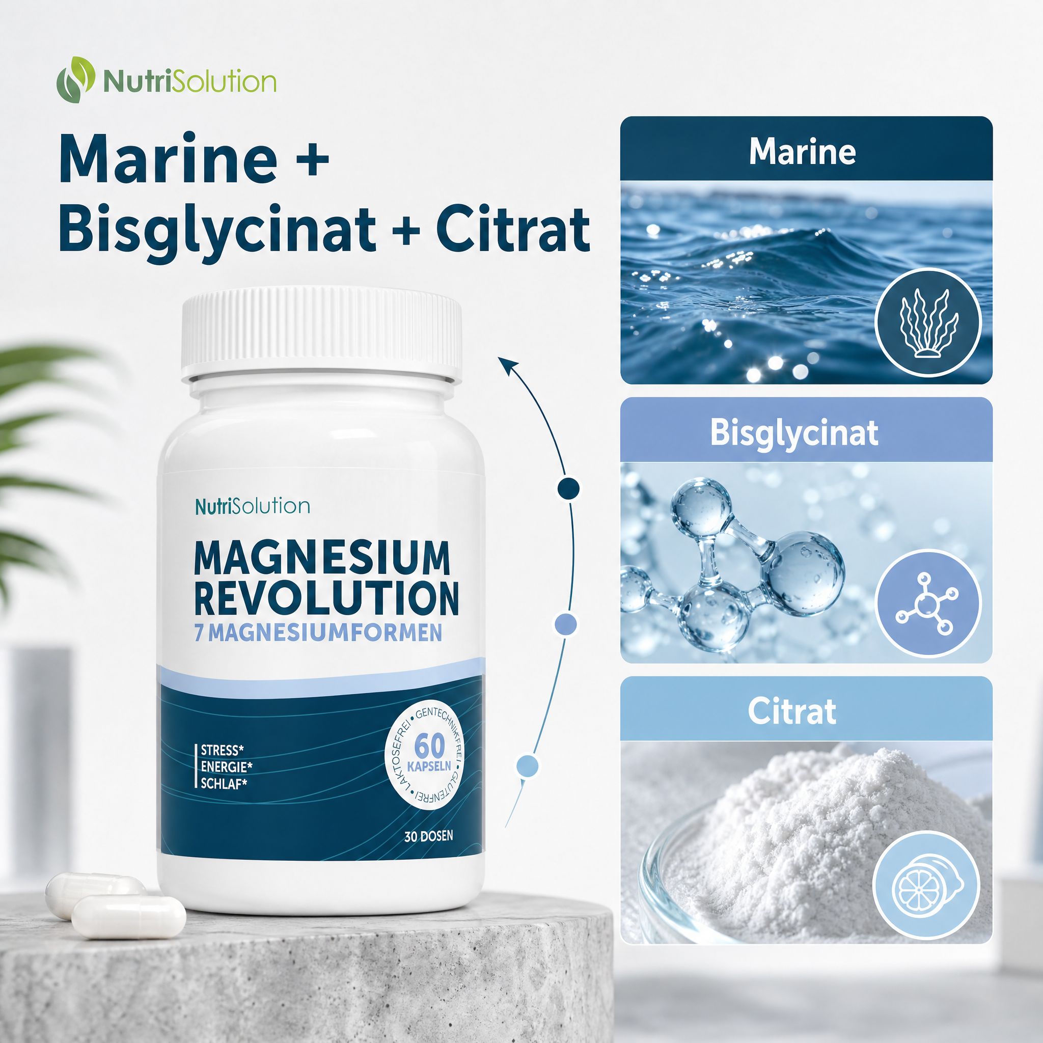 NutriSolution Magnesium Revolution Flasche mit 60 Kapseln, daneben Marine, Bisglycinat und Citrat.