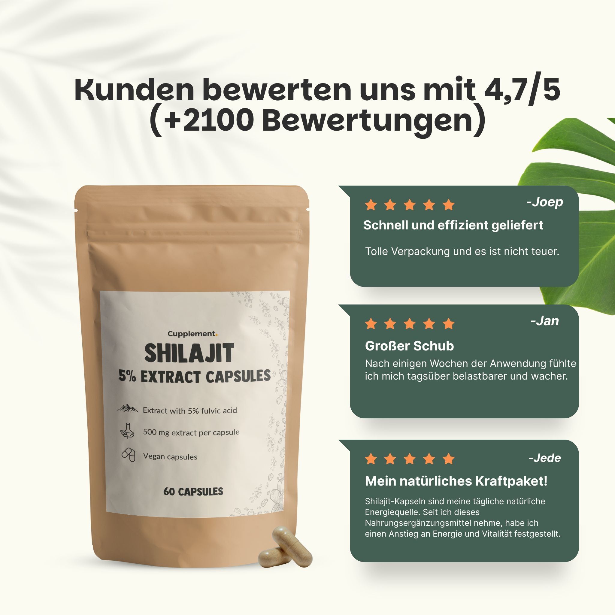 Warum Shilajit? Energie & Vitalität, Libido, Stoffwechsel. Kapseln. 60 Kapseln. Vegan.
