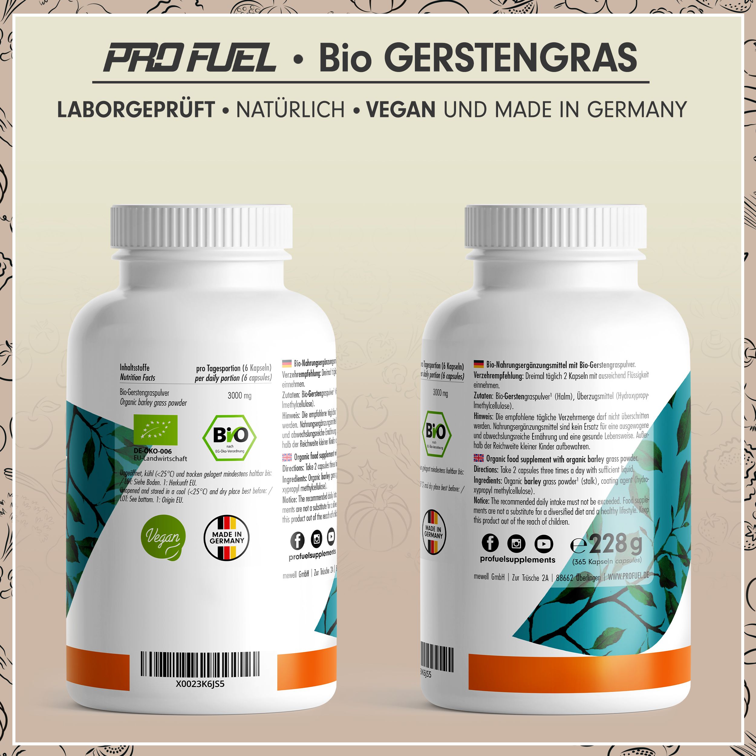 Zwei weiße Flaschen Bio Gerstengras Kapseln. Aufschrift: 3000 mg pro Tag, 100% vegan. Rückseite mit Inhaltsstoffen und Herstellerinformationen.