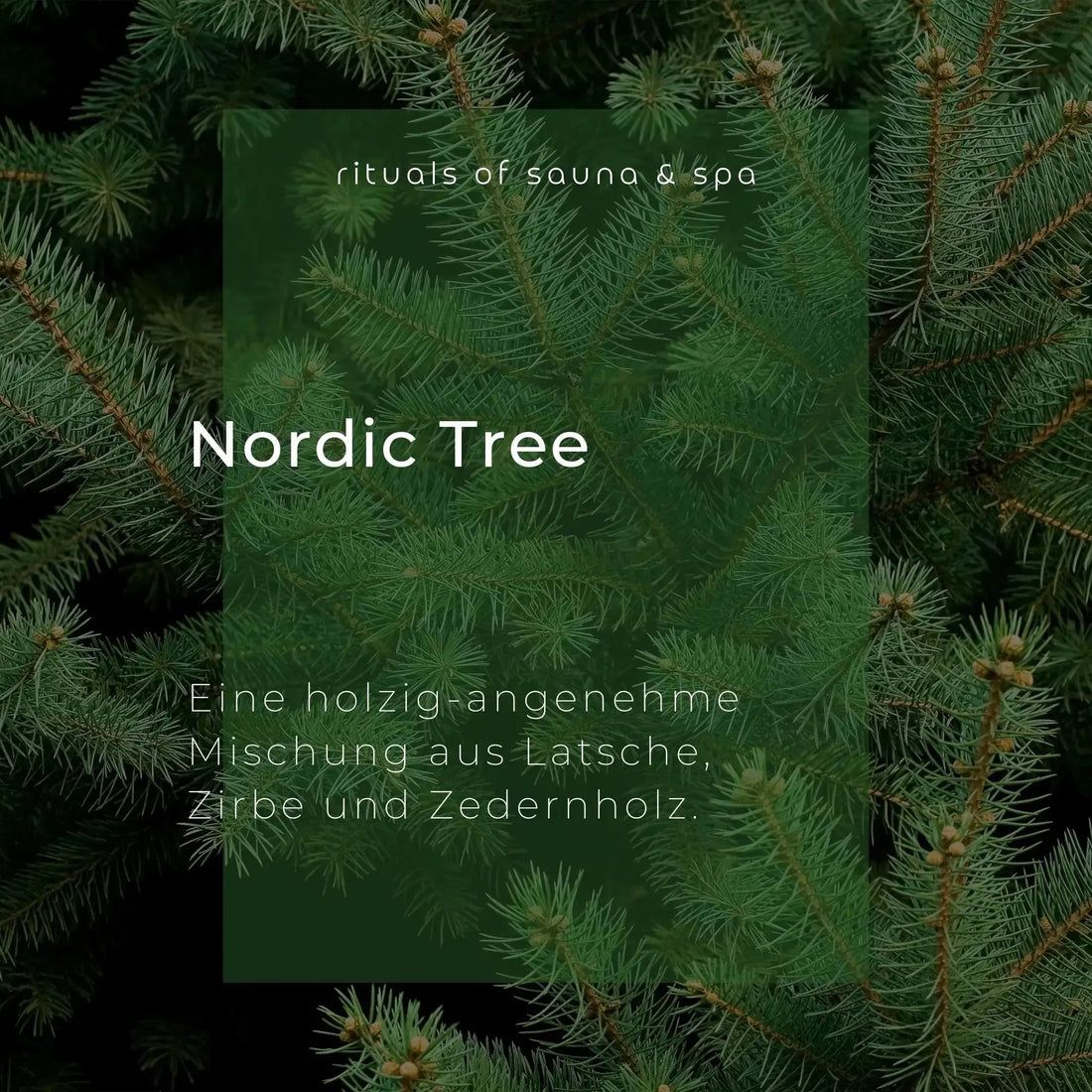 Grüner Hintergrund mit Tannenzweigen. Text: Nordic Tree, eine holzig-angenehme Mischung aus Latsche, Zirbe und Zedernholz.
