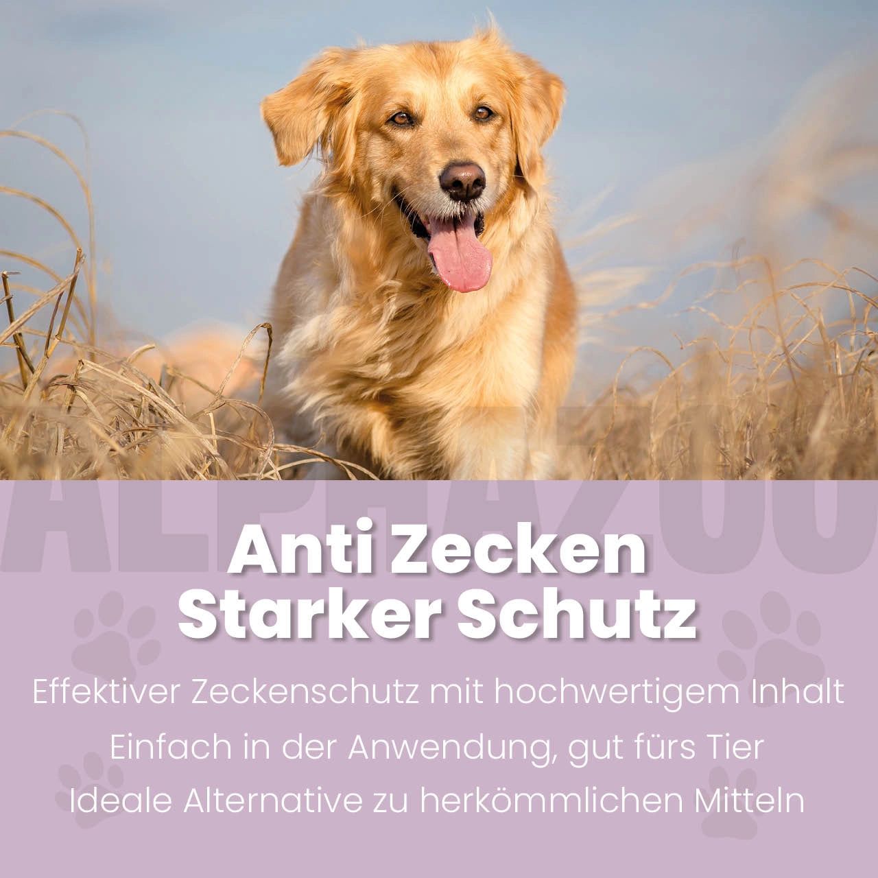 Goldener Hund im Feld, Text: Anti Zecken Starker Schutz.