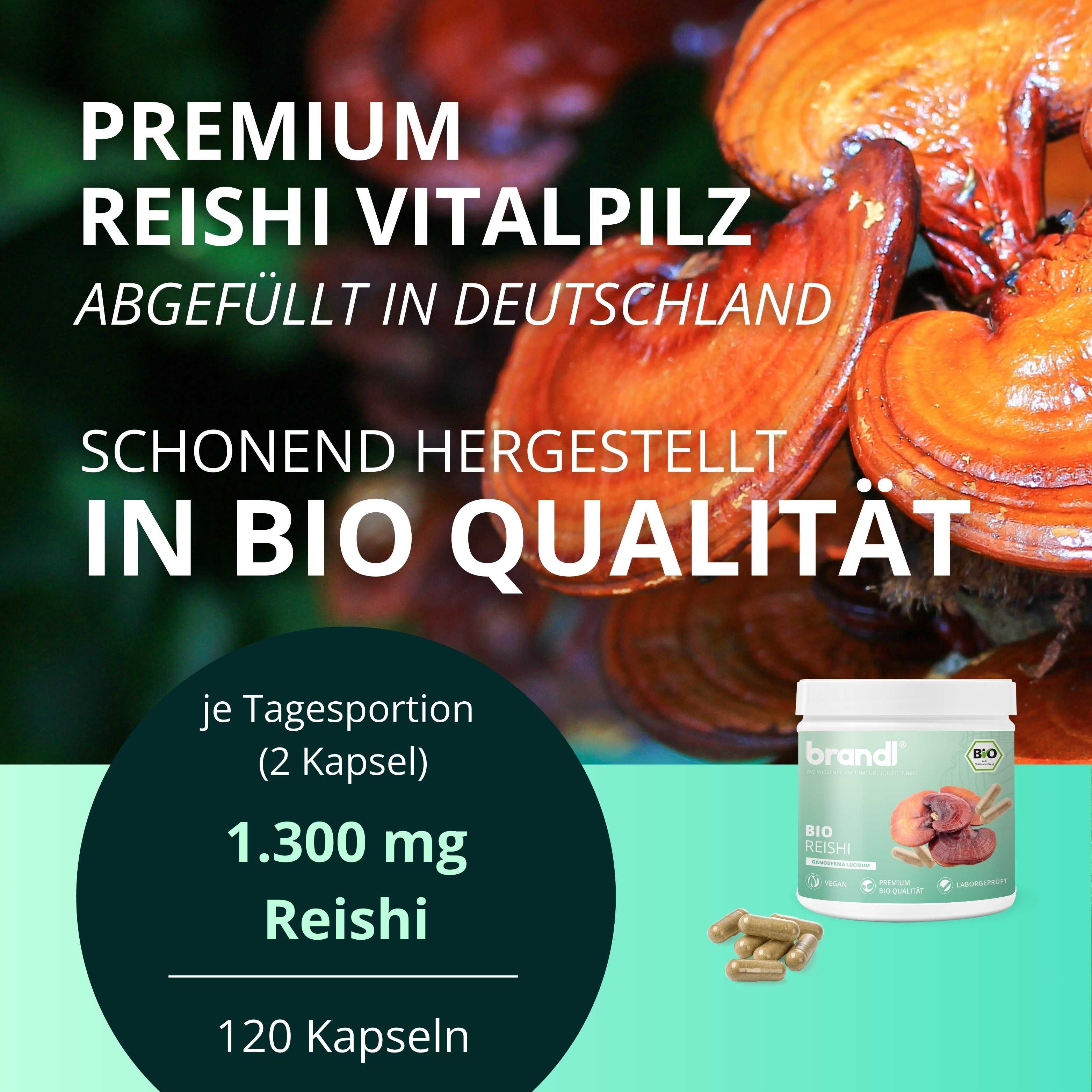 Werbebild mit Reishi-Pilzen und Kapseln. Text: Premium Reishi Vitalpilz, abgefüllt in Deutschland, in Bio-Qualität.