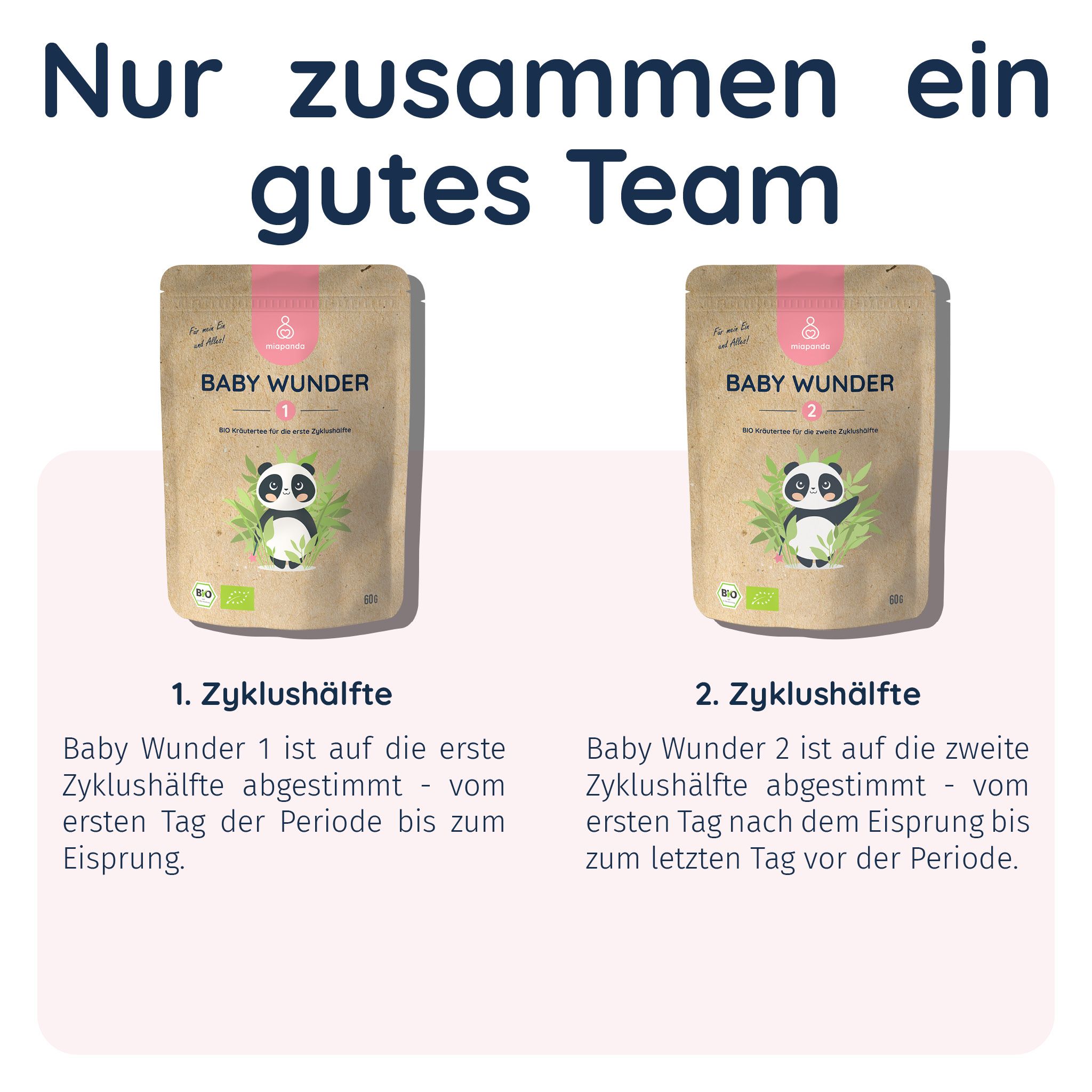 miapanda Baby Wunder 1 | BIO  Zyklustee 1