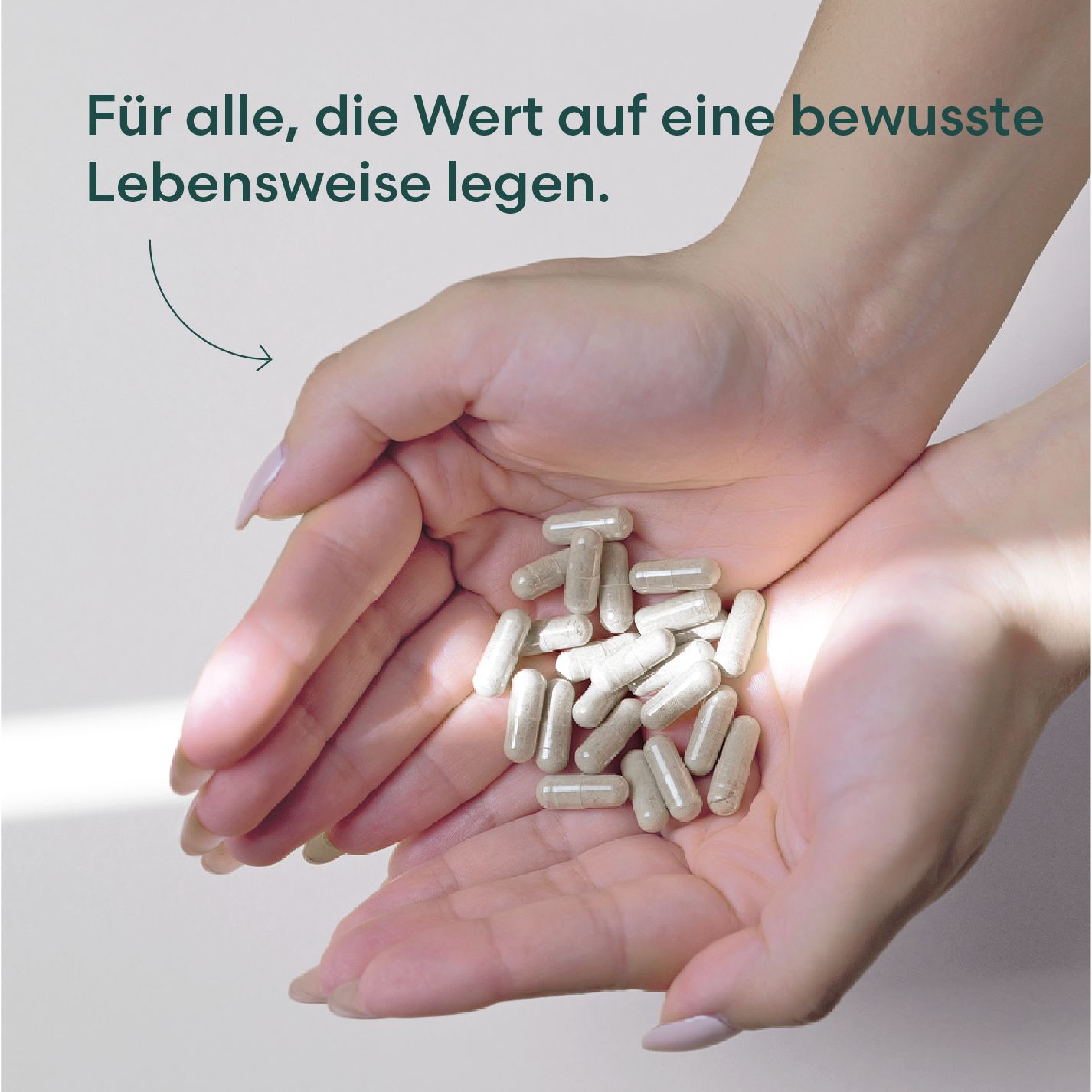 Hände halten eine Ansammlung von Ashwagandha-Kapseln. Kapseln sind länglich, hellbraun und gefüllt. Hintergrund ist hell.