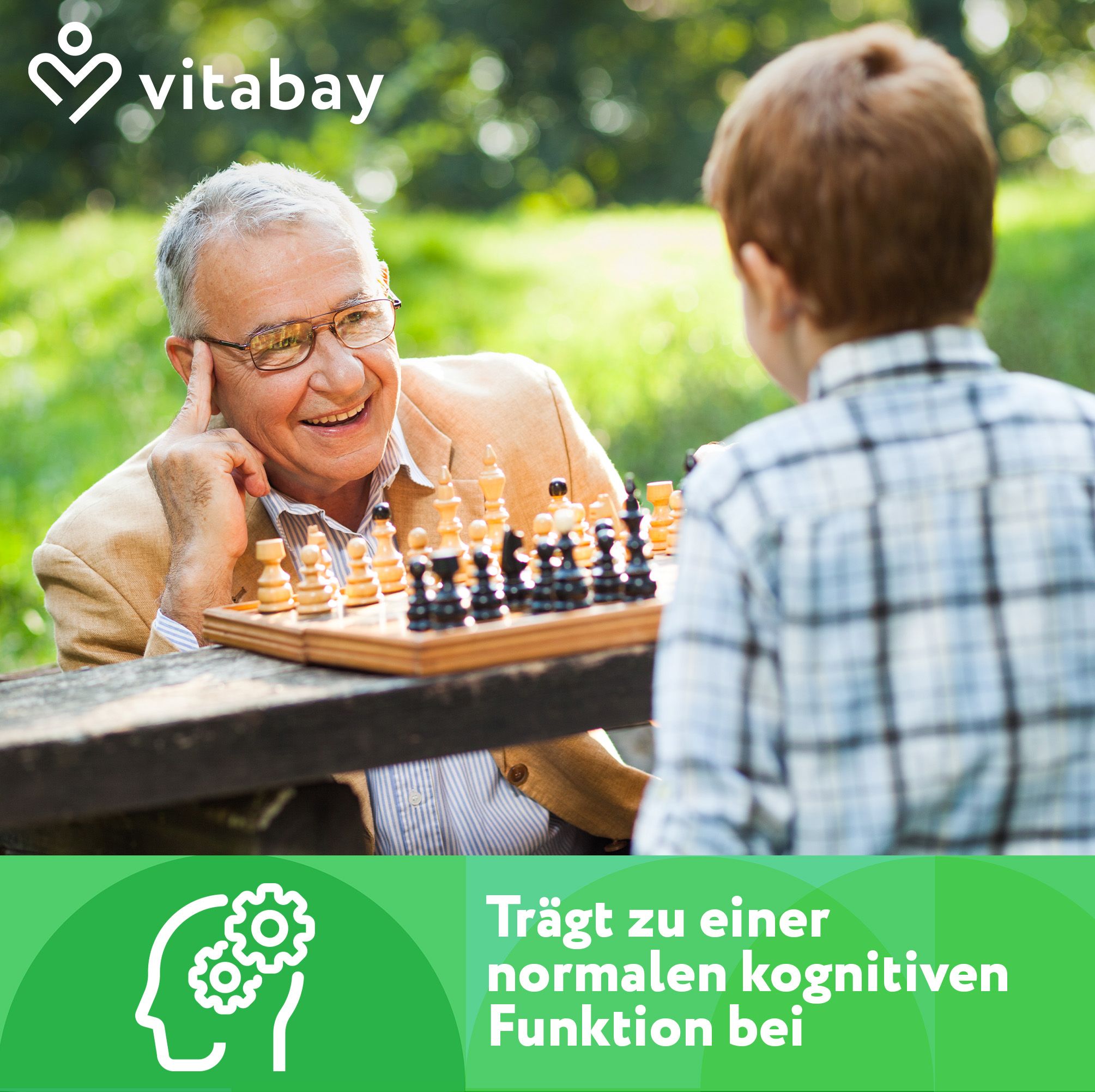 Älterer Mann und Kind spielen Schach. Text: "Trägt zu einer normalen kognitiven Funktion bei". Logo: Zahnräder.