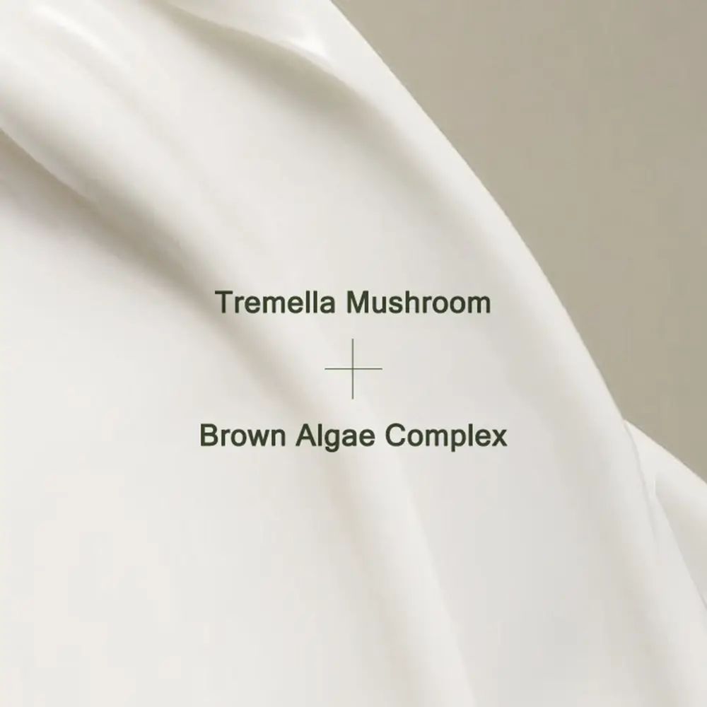 Text auf weißem Hintergrund: Tremella Mushroom + Brown Algae Complex.