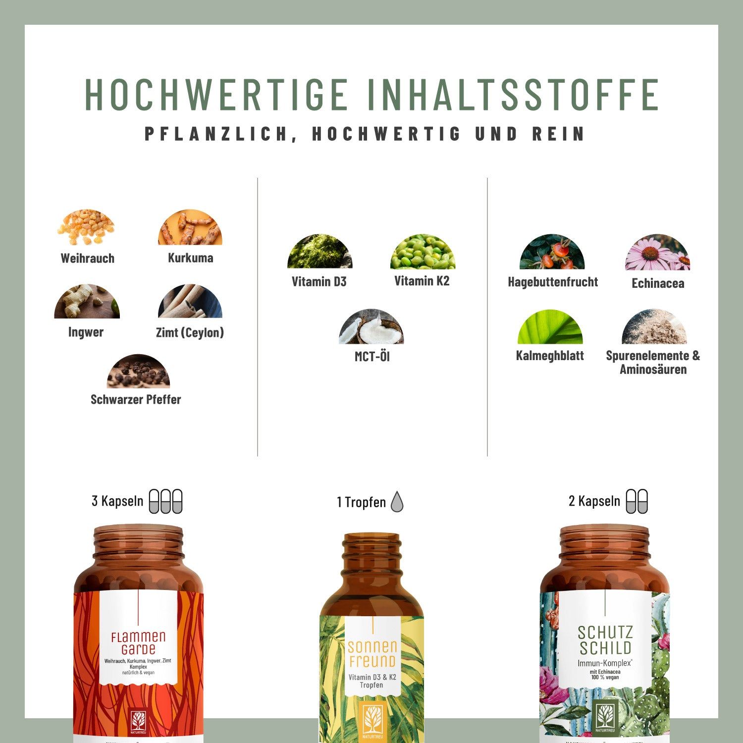 Infografik mit Zutaten: Weihrauch, Kurkuma, Ingwer, Zimt, Vitamin D3, K2, Hagebutte, Echinacea. Produkte in Flaschen.