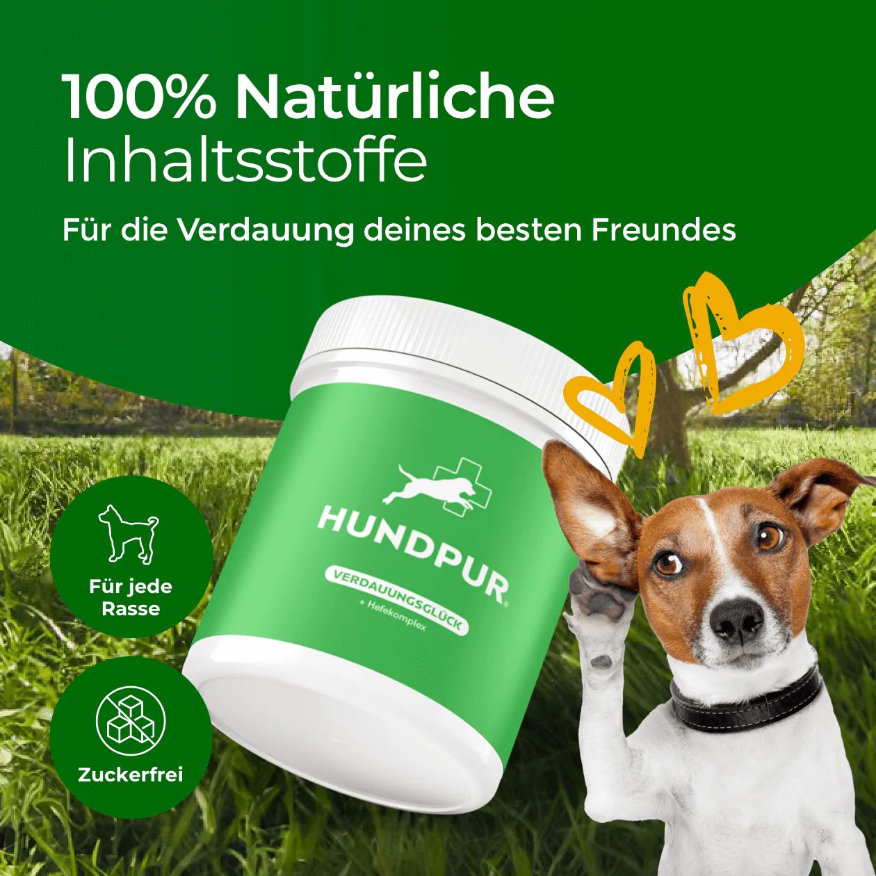 Grüne Dose mit weißem Deckel. Aufschrift: HUNDPUR Verdauungsglück. Logo: Hund und Kreuz. Text: 100% natürliche Inhaltsstoffe. Für jede Rasse. Zuckerfrei.