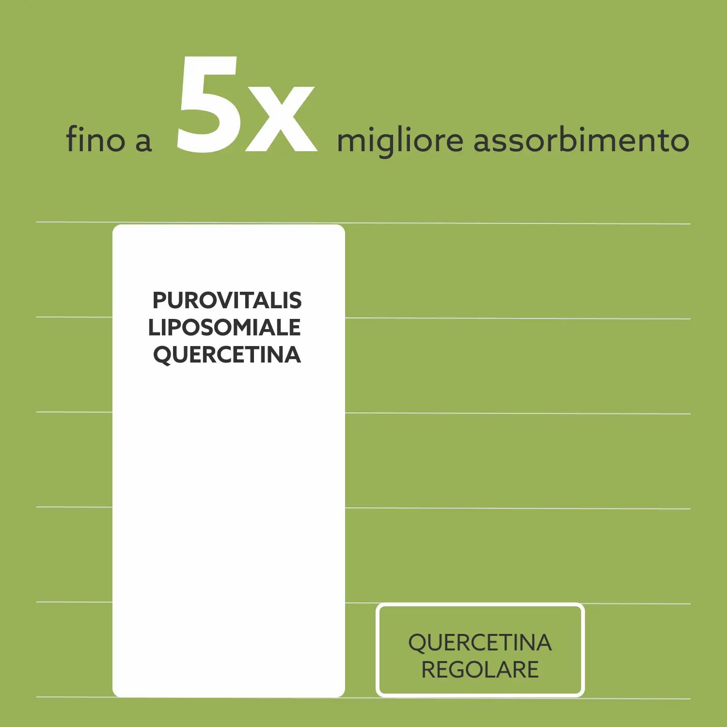 Grafik: Purovitalis Liposomales Quercetin, bis zu 5x bessere Absorption als reguläres Quercetin.