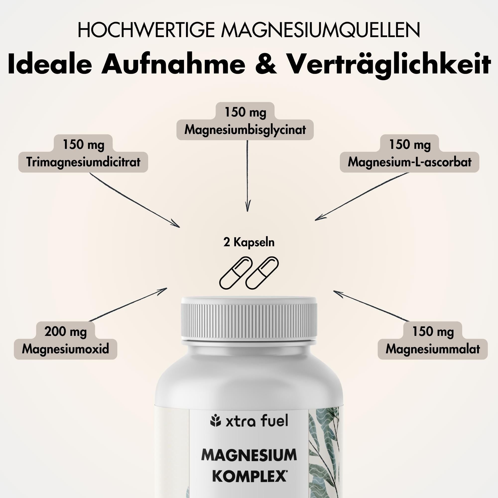 Grafik mit Informationen zu Magnesiumquellen. 2 Kapseln, 150mg Magnesiumglycinat, 150mg Magnesium-L-ascorbat, etc.