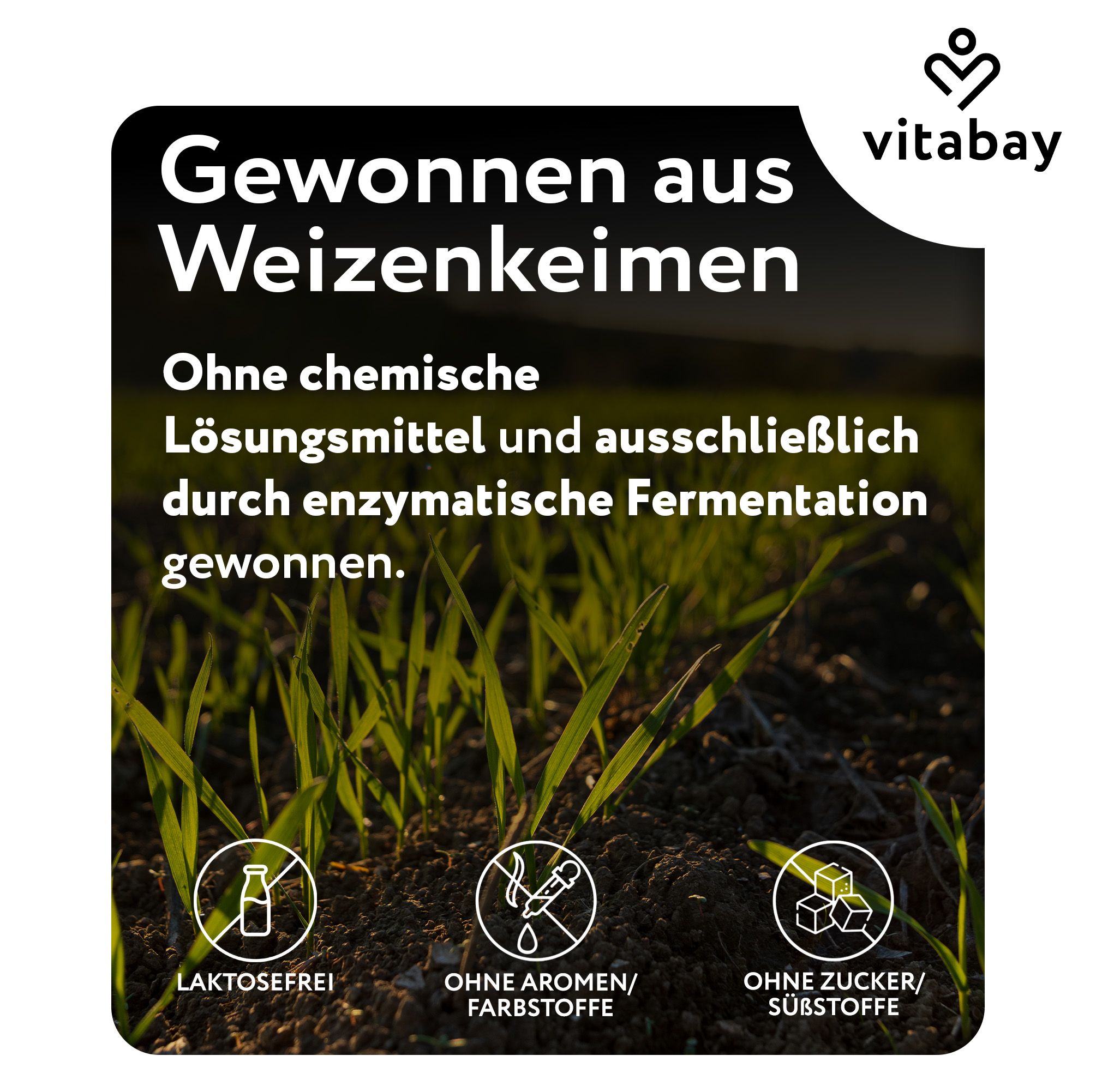 Text auf grünem Hintergrund: Gewonnen aus Weizenkeimen. Ohne chemische Lösungsmittel. Laktosefrei, ohne Aromen/Farbstoffe, ohne Zucker/Süßstoffe.