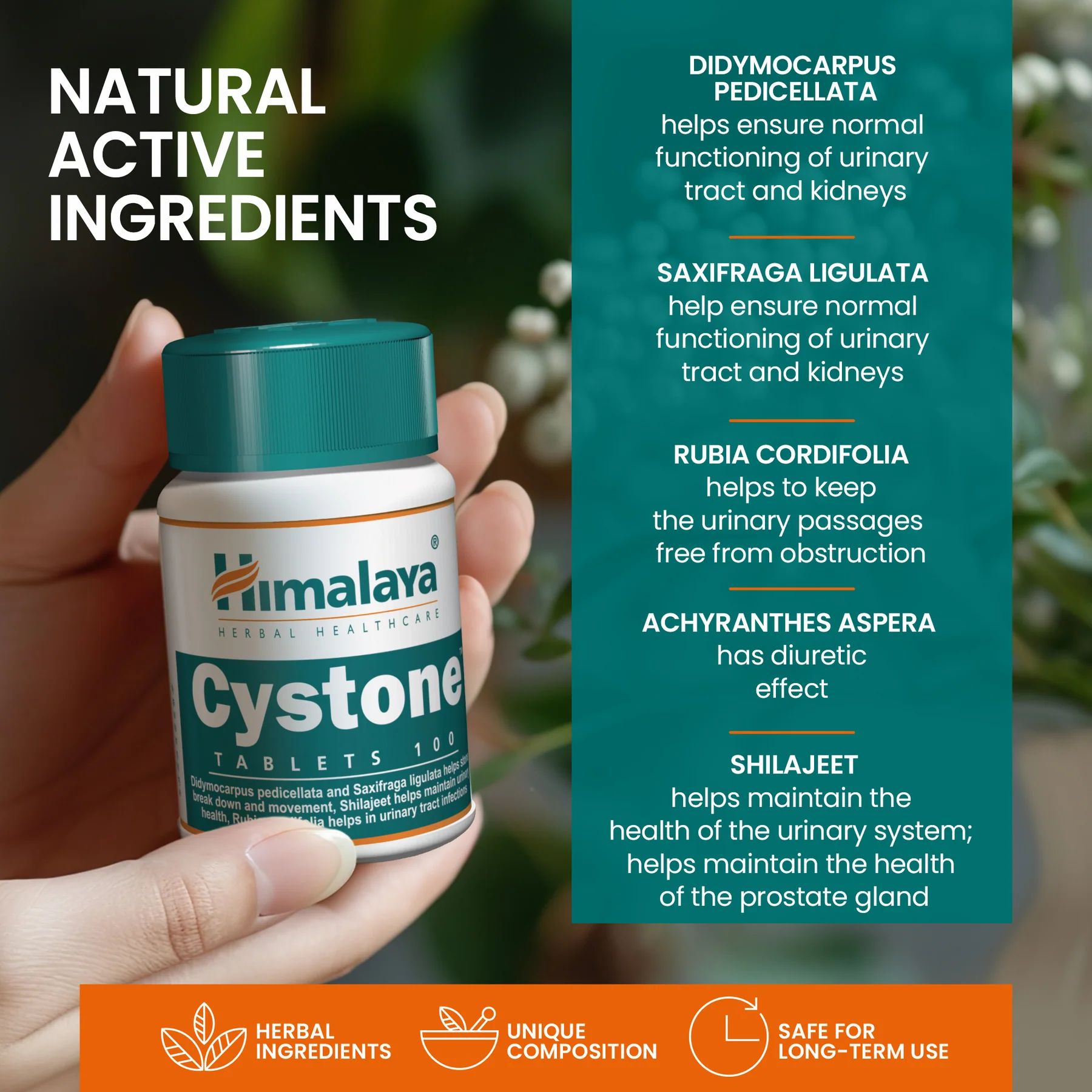 Himalaya Cystone Tabletten in einer Hand. Text: Natürliche Wirkstoffe. Herbal Ingredients. Einzigartige Zusammensetzung.