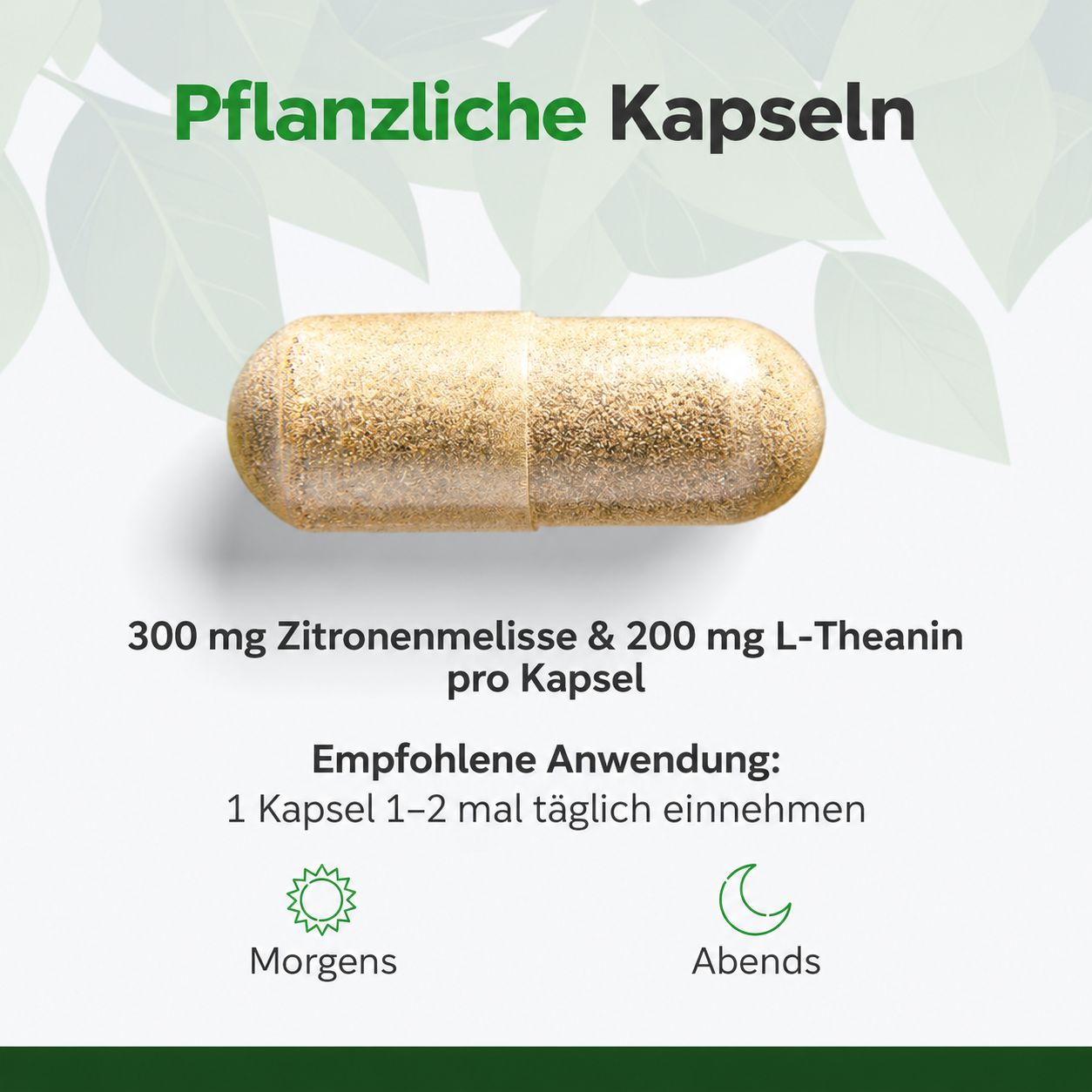 Eine pflanzliche Kapsel mit 300 mg Zitronenmelisse und 200 mg L-Theanin.