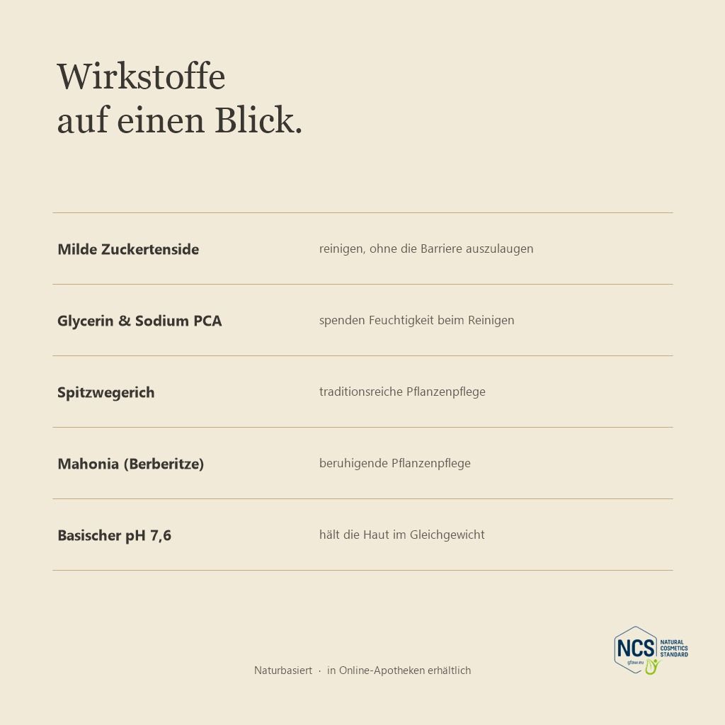 Lubana Reinigungsschaum Flasche mit Inhaltsstoff-Liste.