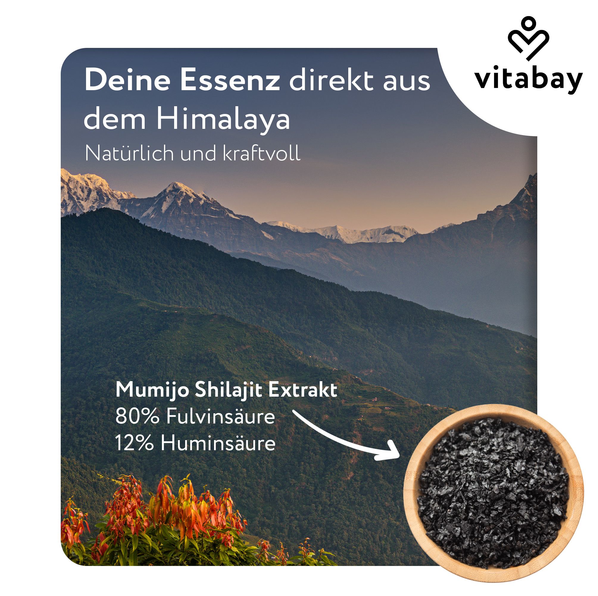 Landschaft mit Bergen. Text: Deine Essenz direkt aus dem Himalaya. Mumijo Shilajit Extrakt, 80% Fulvinsäure, 12% Huminsäure. Logo: Vitabay. Schale mit schwarzem Extrakt.