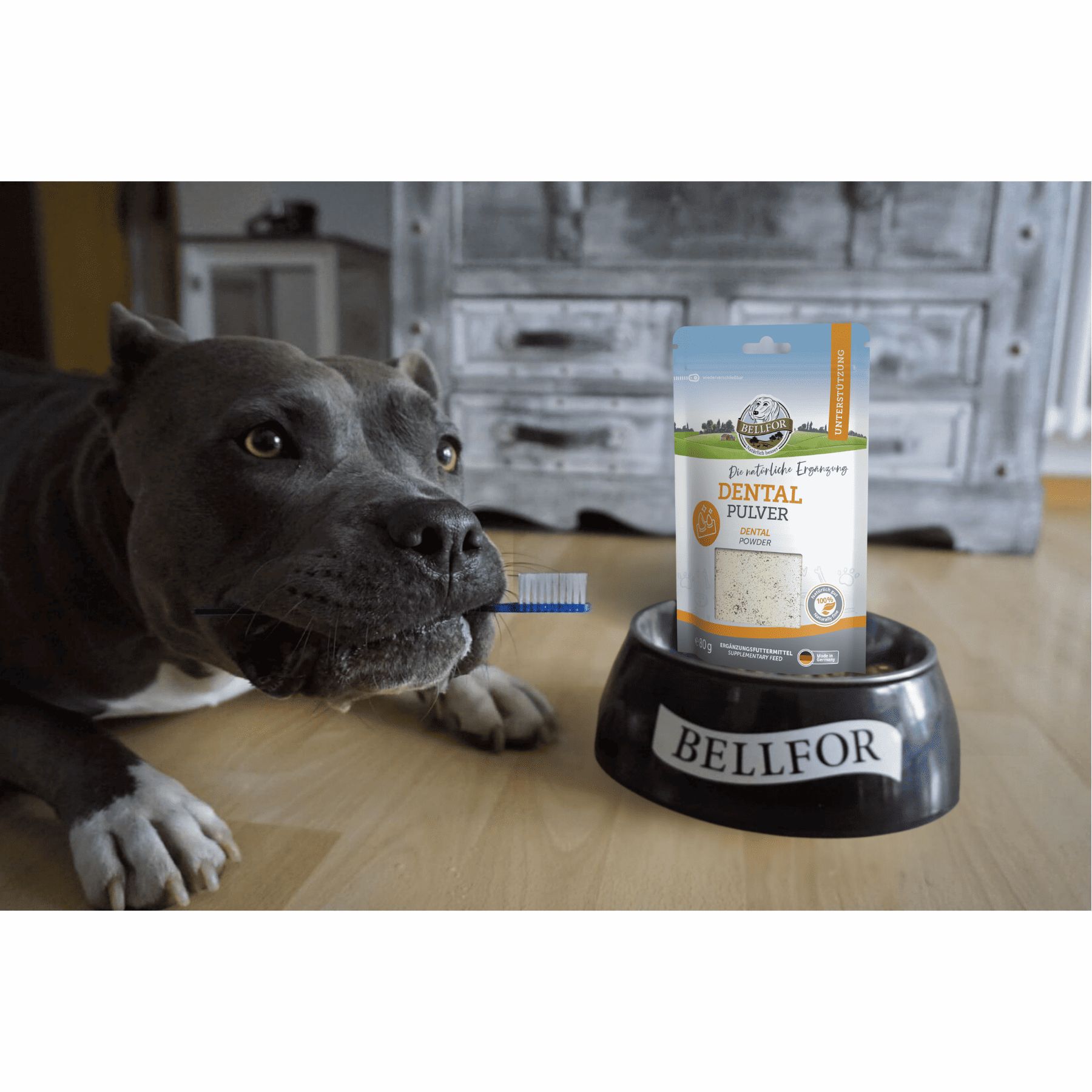 Hund mit Zahnbürste im Maul neben einer Schale mit Dental Pulver und Produktverpackung.