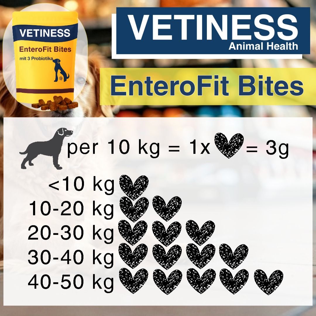 Gelbe Verpackung Vetiness EnteroFit Bites. Dosierung: 1x Herz pro 10 kg. Diagramm mit Herzsymbolen für Dosierung nach Gewicht. Hunde-Silhouette.