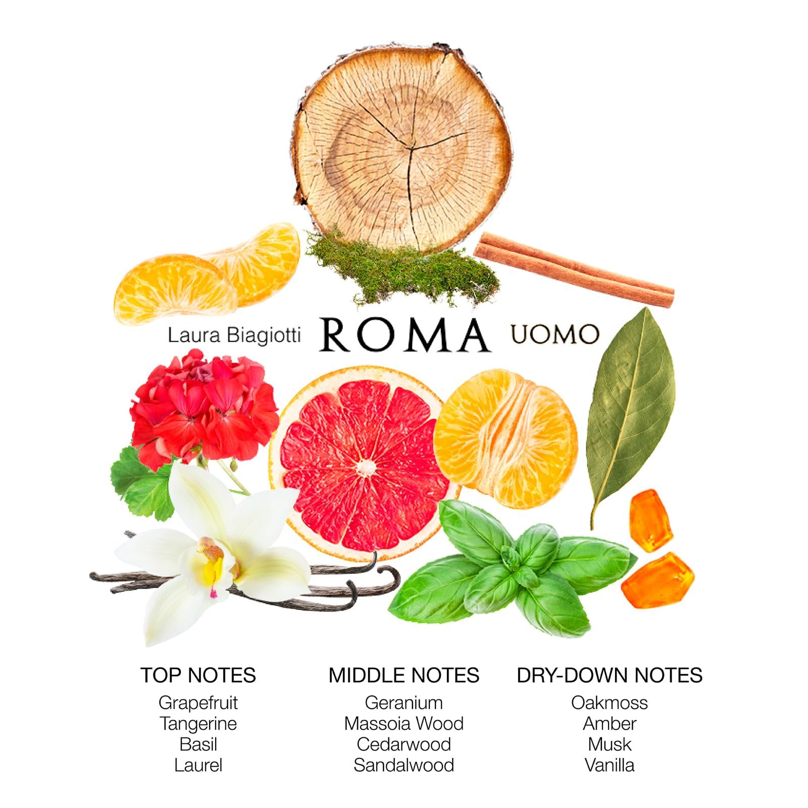 Duftkomposition mit Zutaten wie Grapefruit, Mandarine, Basilikum und Vanille. Text: Laura Biagiotti ROMA UOMO.