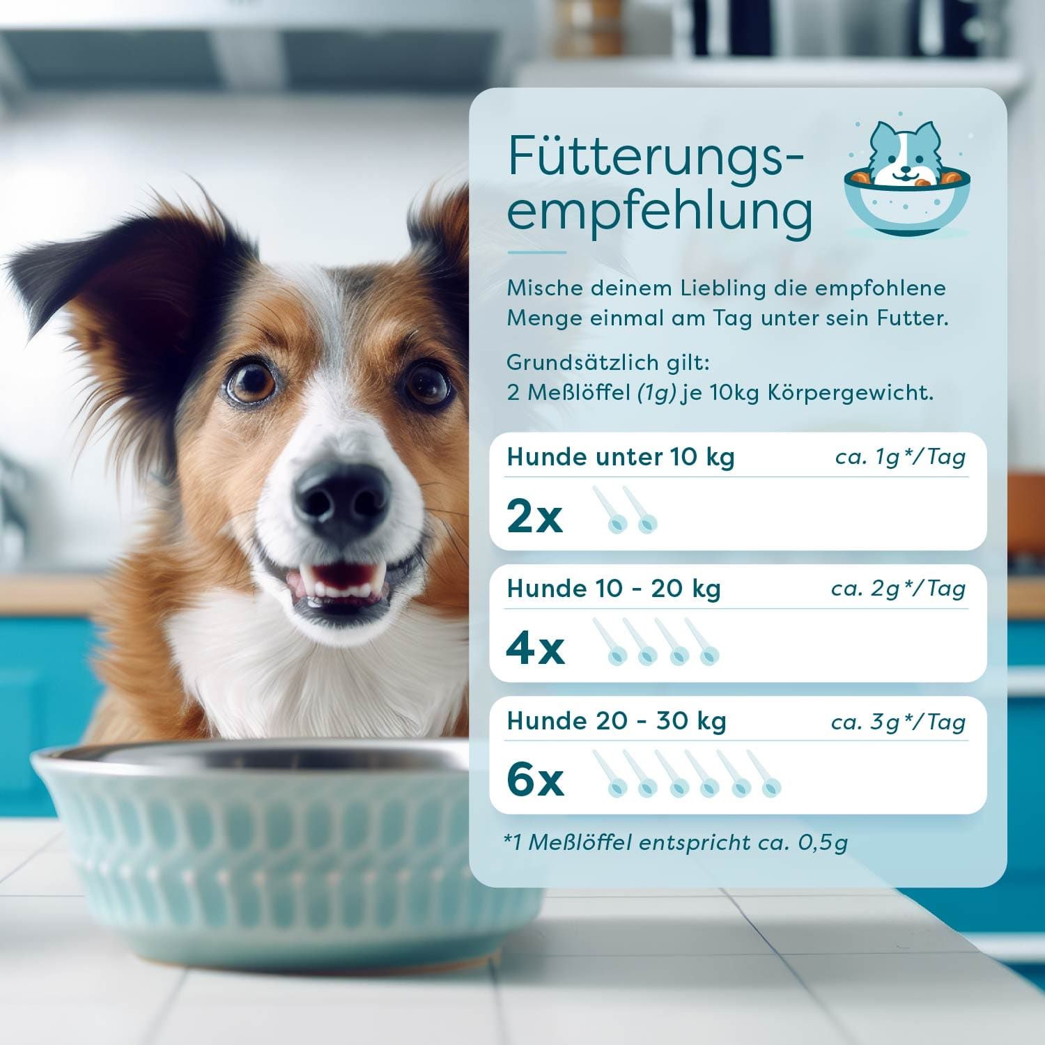 Dr. SAM BellyLove Dog - Hochdosiertes Darmpulver. Bringt Magen und Darm in Balance