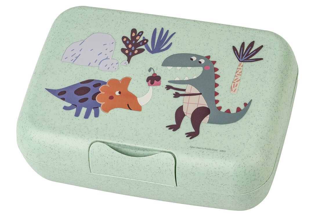 Geschlossene grüne Lunchbox mit Dinosaurier-Illustrationen. Rechteckige Form. Kunststoff.
