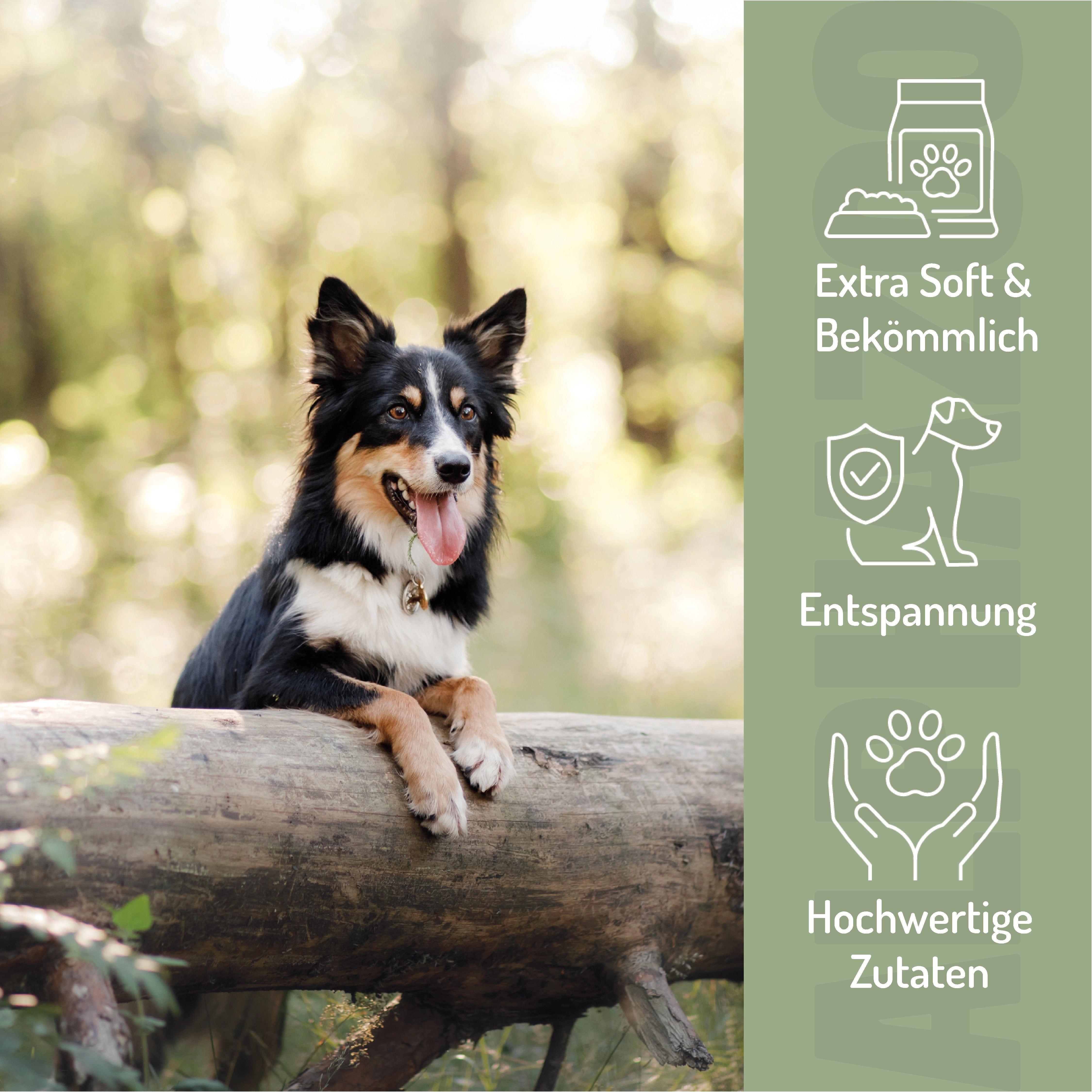 Hund auf Baumstamm. Icons: Extra weich & bekömmlich, Entspannung, hochwertige Zutaten.
