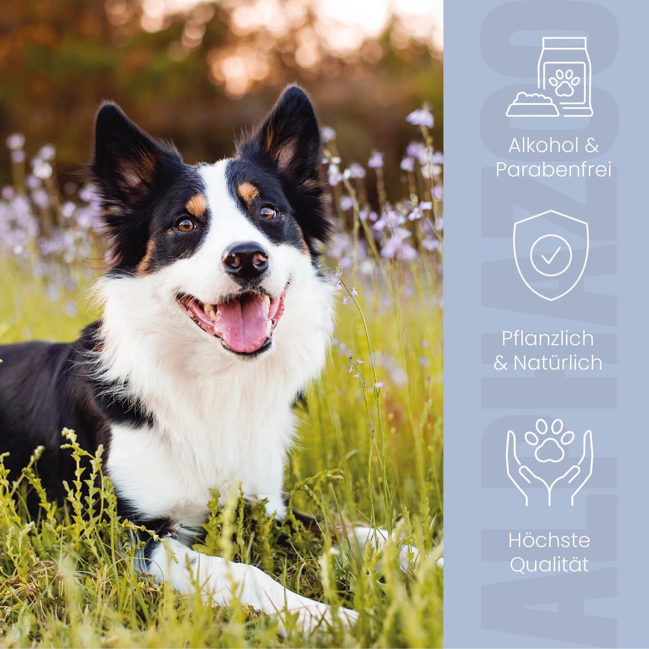 Hund im Gras. Text: Alkohol- und parabenfrei, pflanzlich & natürlich, höchste Qualität. Symbole.