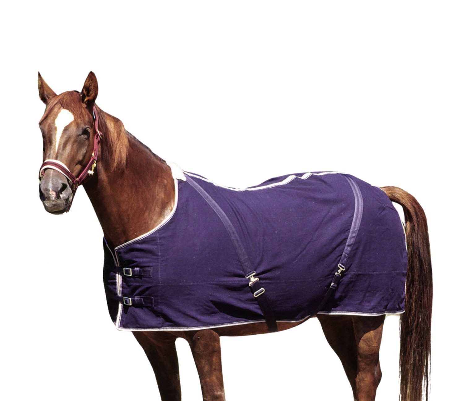 AMKA Pferdedecke Virginia