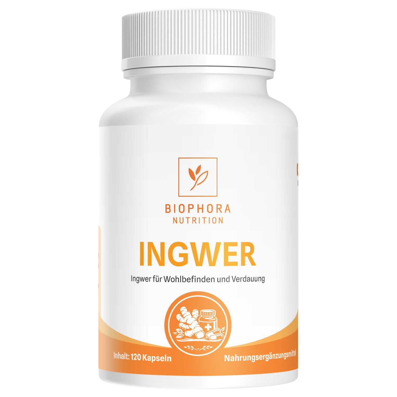 Weiße Flasche mit Ingwer-Kapseln. Aufschrift: INGWER, Biophora Nutrition. Illustration: Ingwerwurzeln und Kapseln.