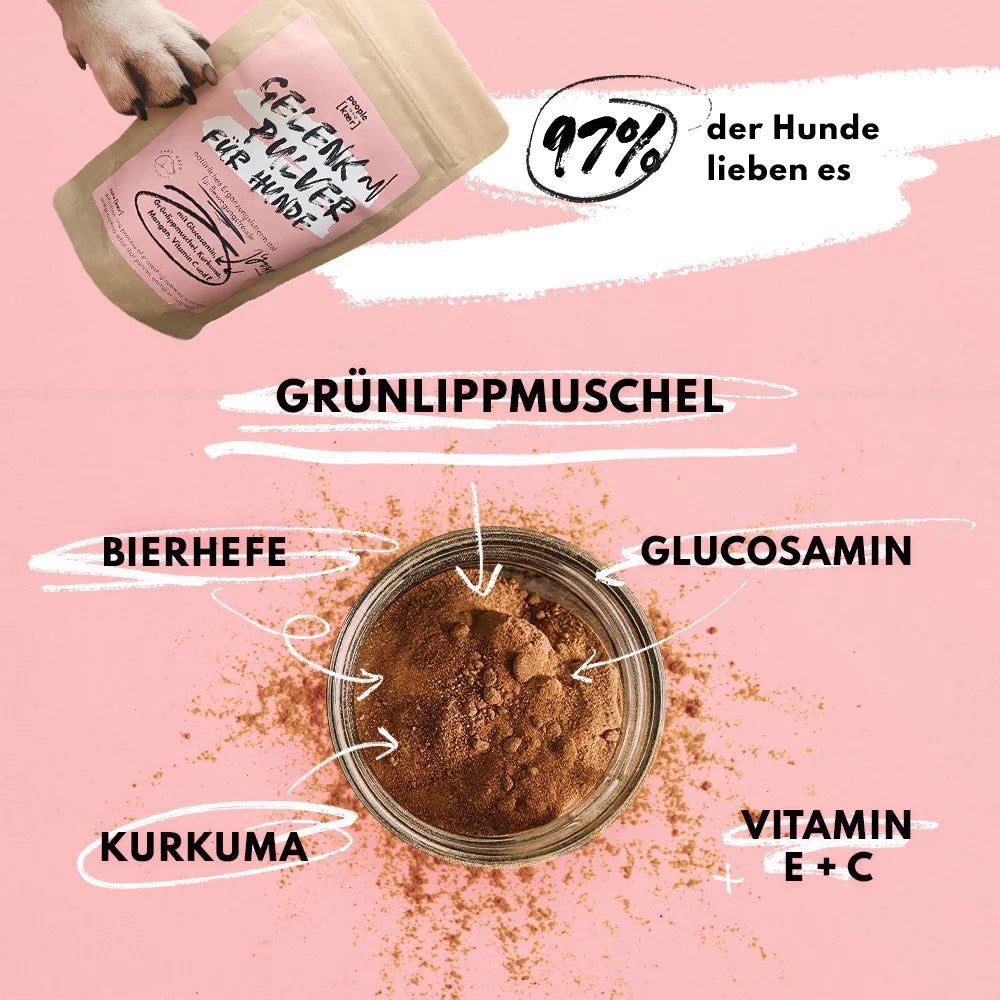 Gelenkpulver für Hunde - People Who Kaer