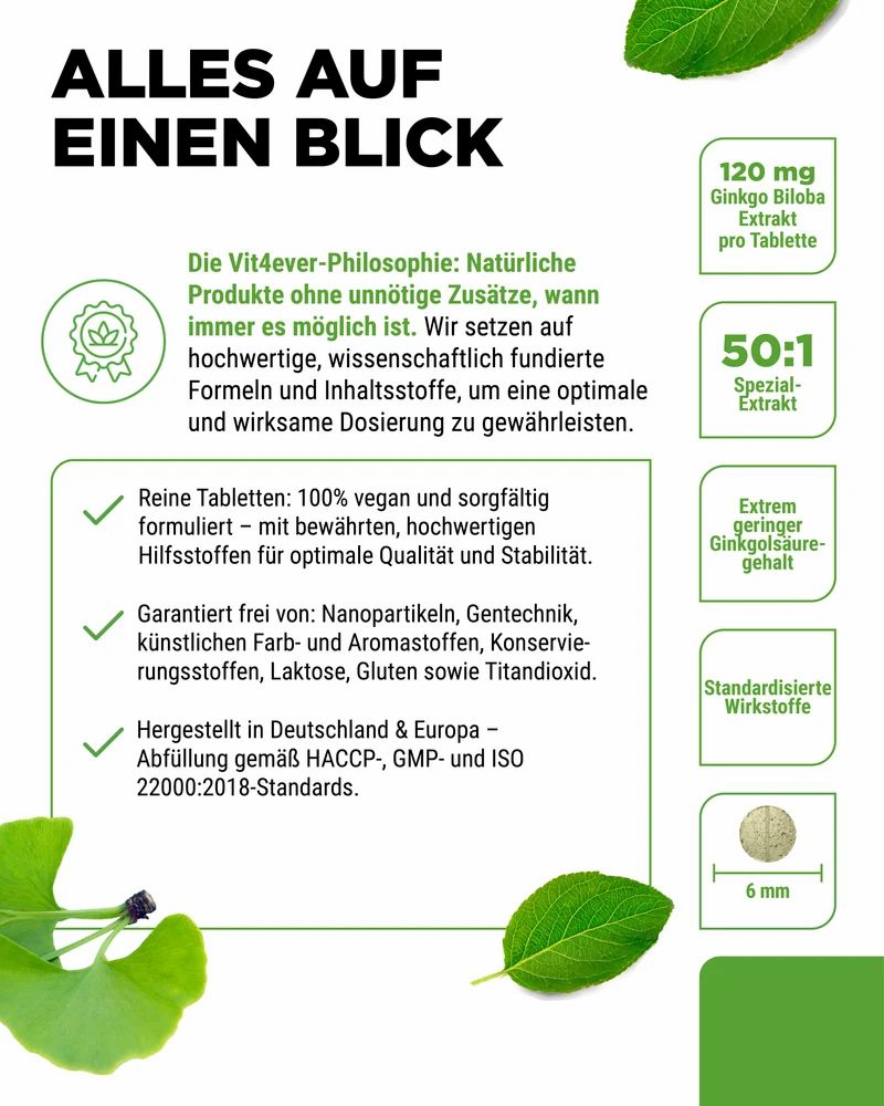 Vit4ever Ginkgo Biloba 6000 mg Flasche mit Detailinformationen und Tablettengröße.