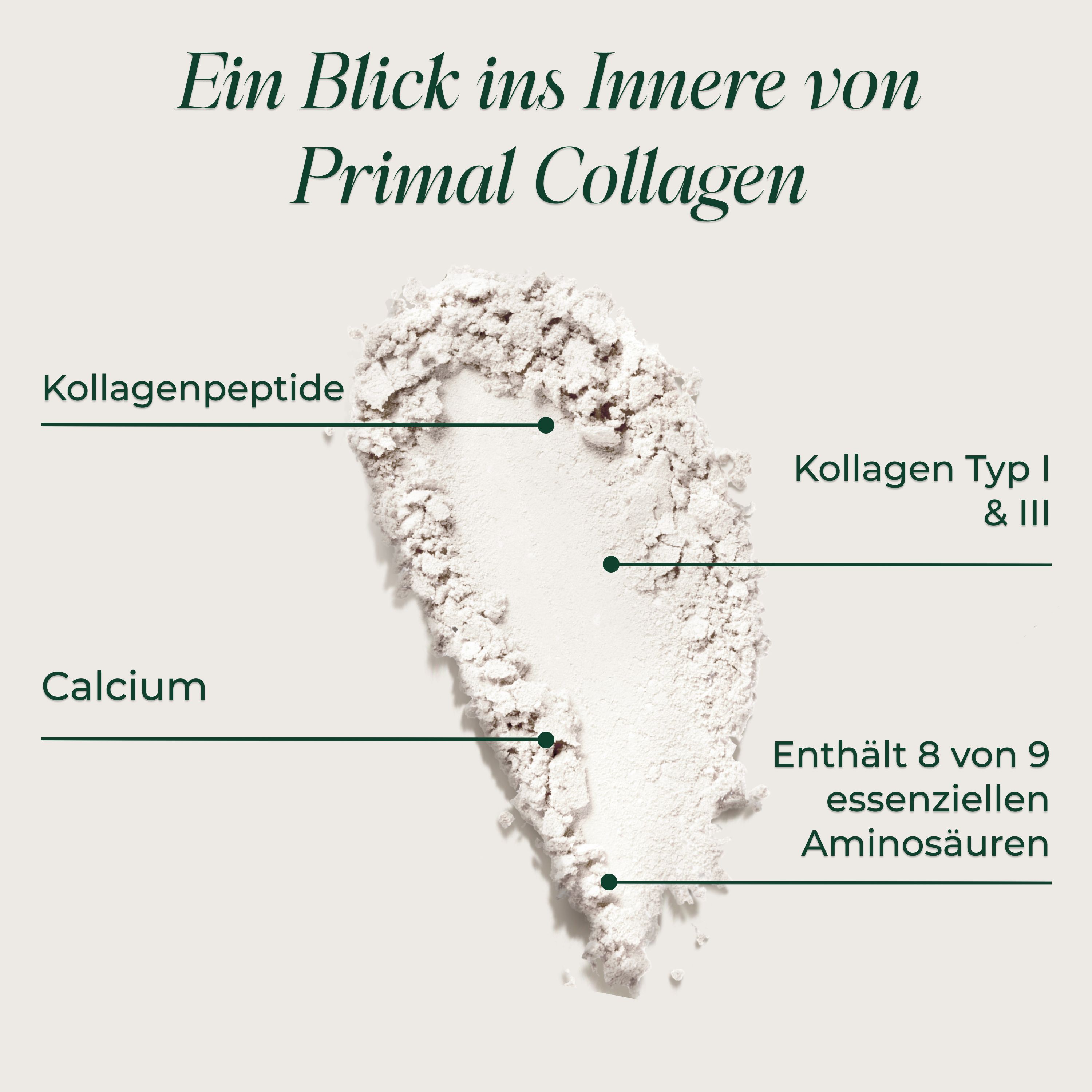 Nahaufnahme von Collagen Pulver. Beschriftungen: Kollagenpeptide, Typ I & III, Calcium, Aminosäuren.