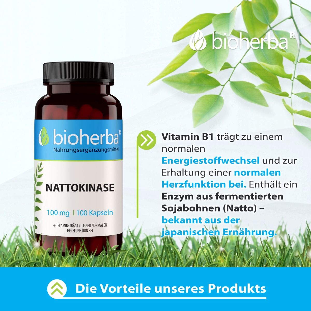 Braune Flasche mit schwarzen Deckel. Enthält Nattokinase, 100 Kapseln, 100 mg. Marke: Bioherba.