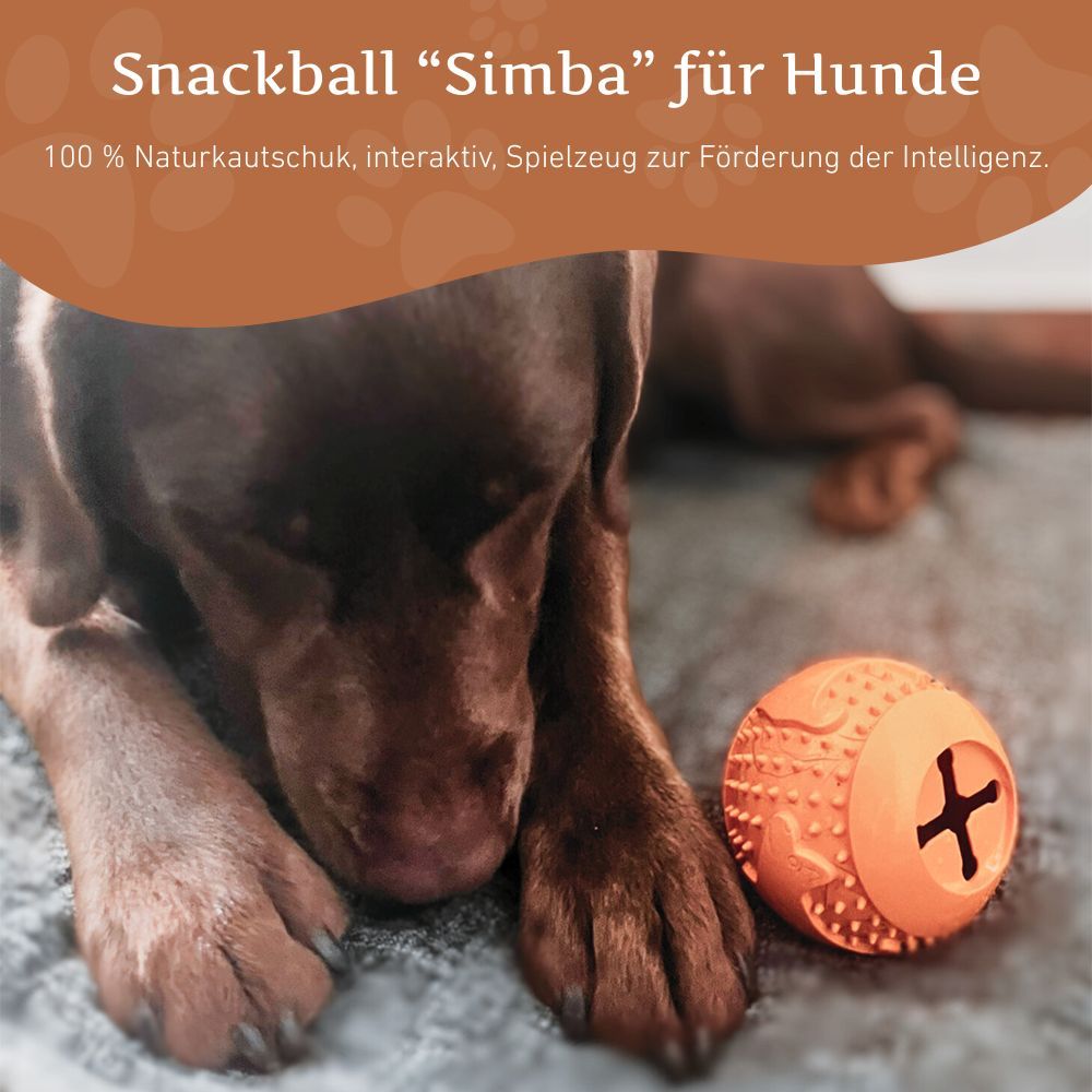 Orangefarbener Snackball aus Naturkautschuk mit Kreuzschlitz. Liegt neben einem Hund.