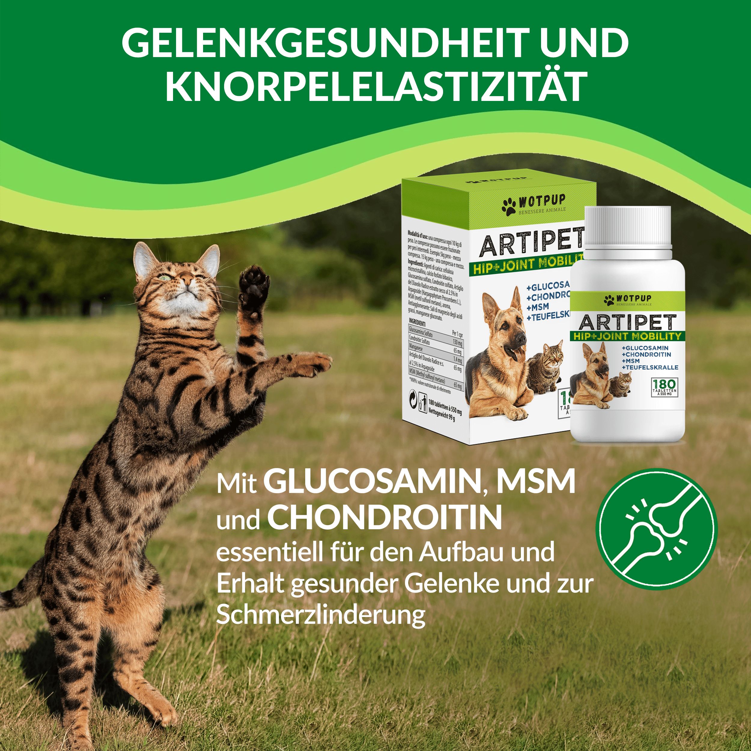 Katze springt. Produkt-Set mit Flasche und Box. Aufschrift: Artipet. Text: Gelenkgesundheit und Knorpelelastizität.