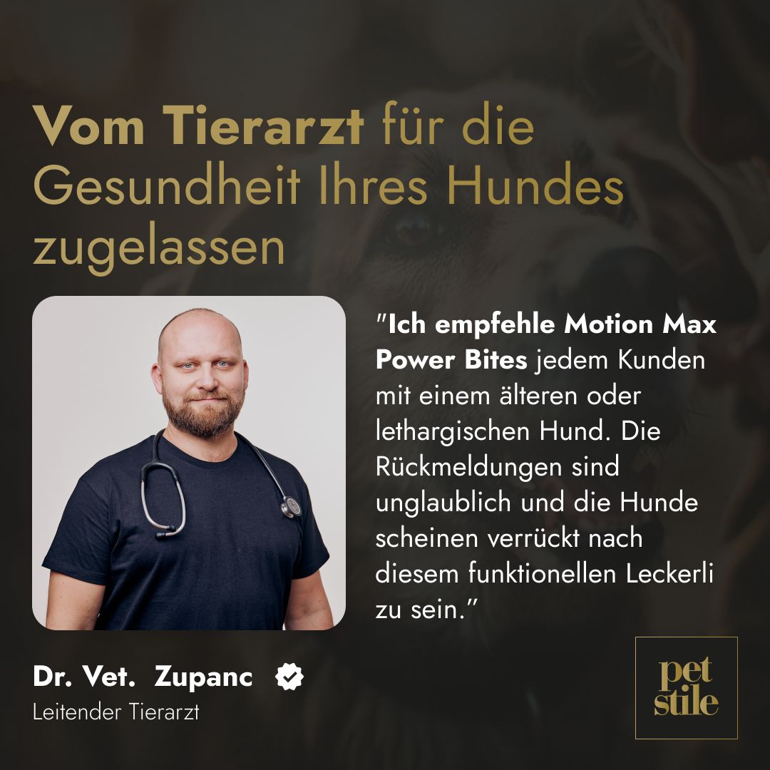 Arzt mit Stethoskop. Zitat: Ich empfehle Motion Max Power Bites jedem Kunden mit einem älteren oder lethargischen Hund.
